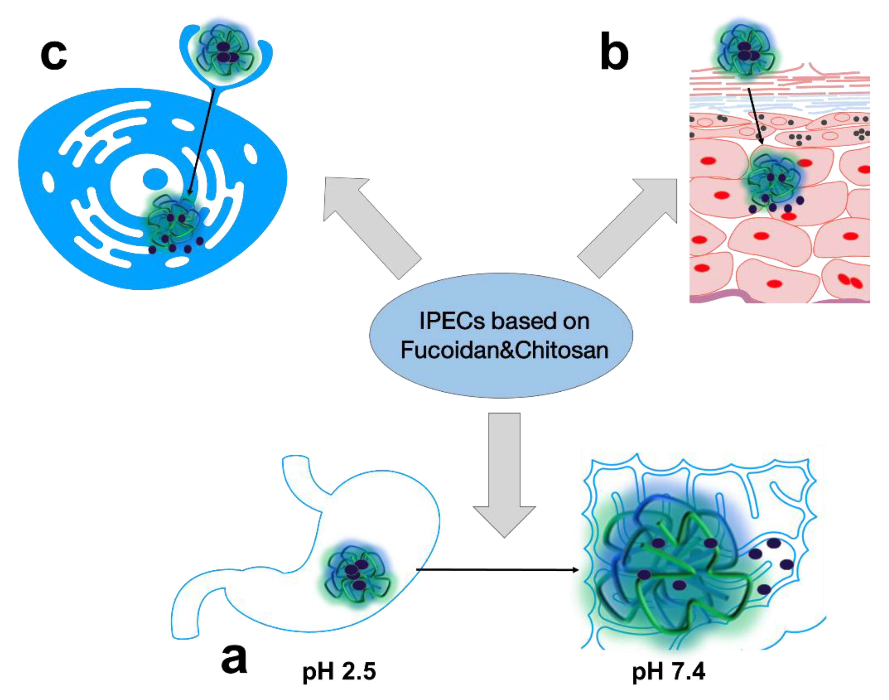 Ijms 24 02615 g003 Ijms 24 02615 g003