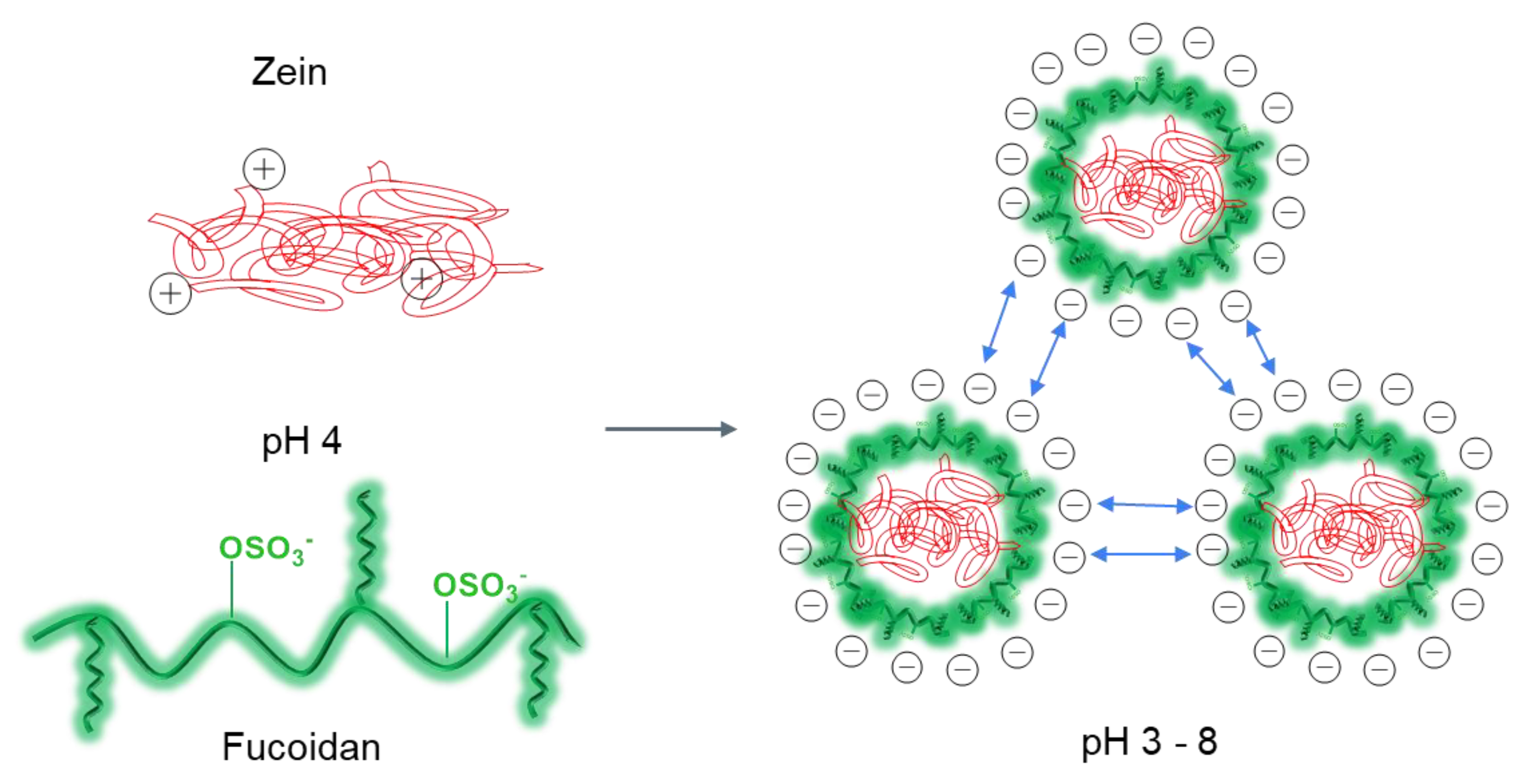 Ijms 24 02615 g005 Ijms 24 02615 g005