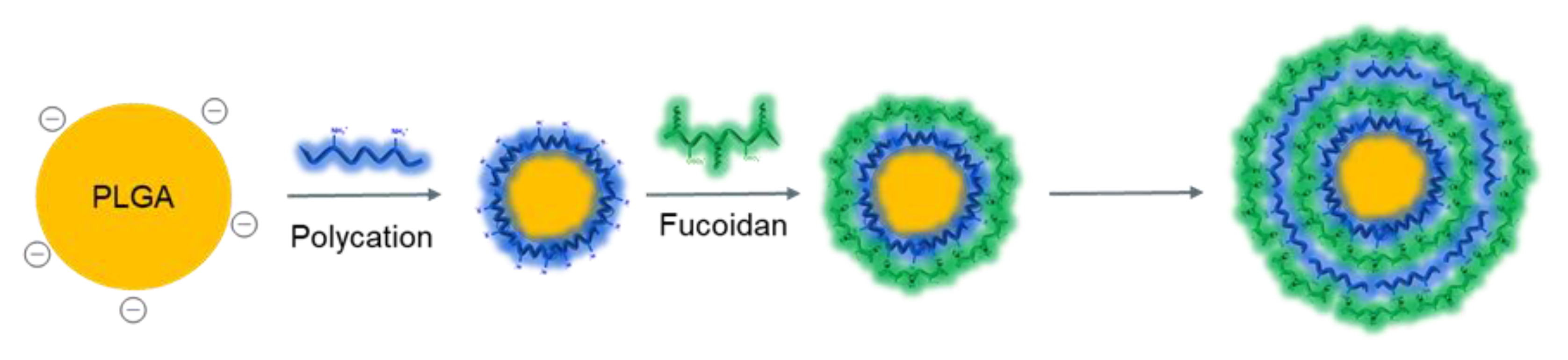 Ijms 24 02615 g006 Ijms 24 02615 g006