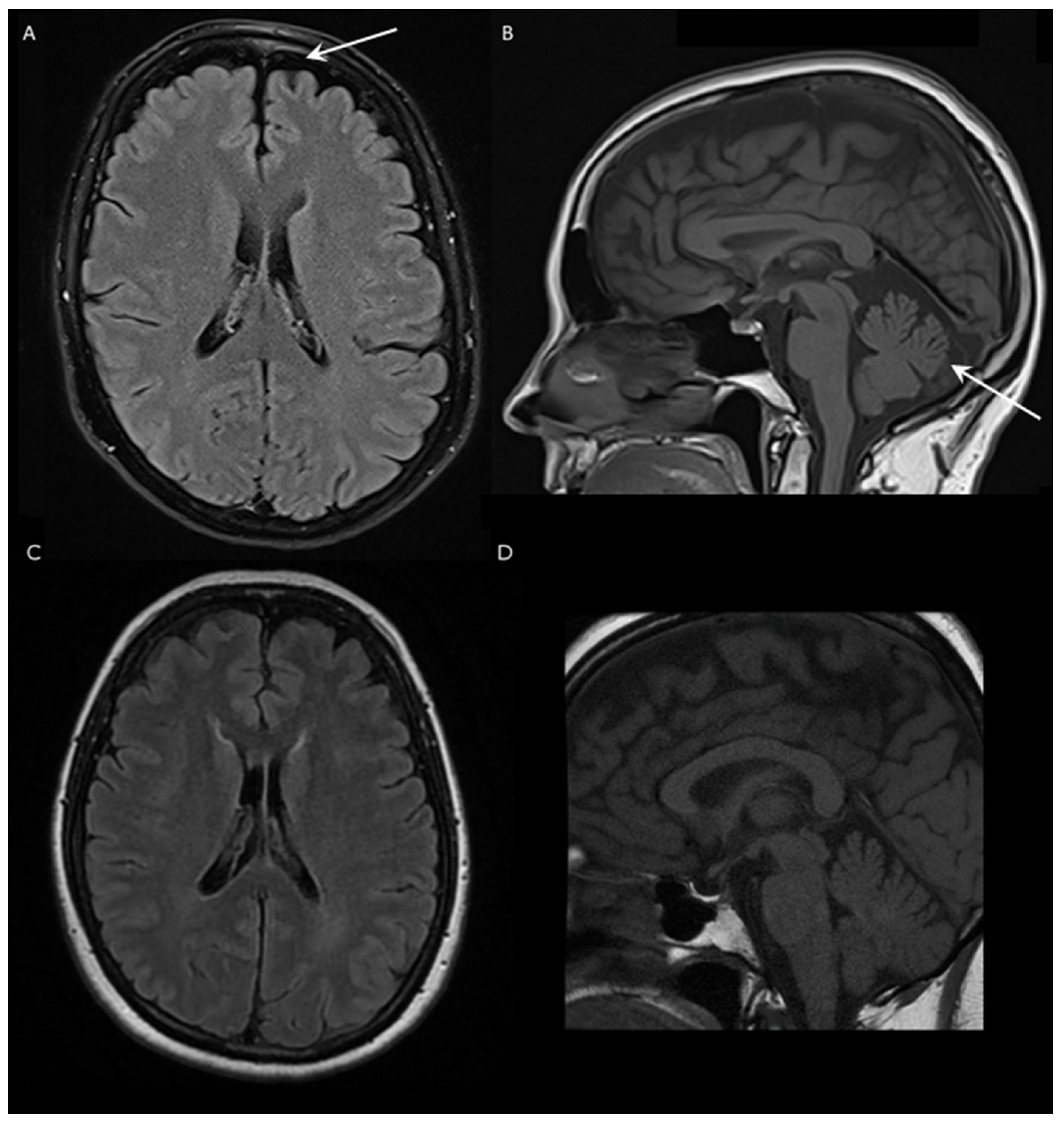 Ijms 24 02617 g001 Ijms 24 02617 g001