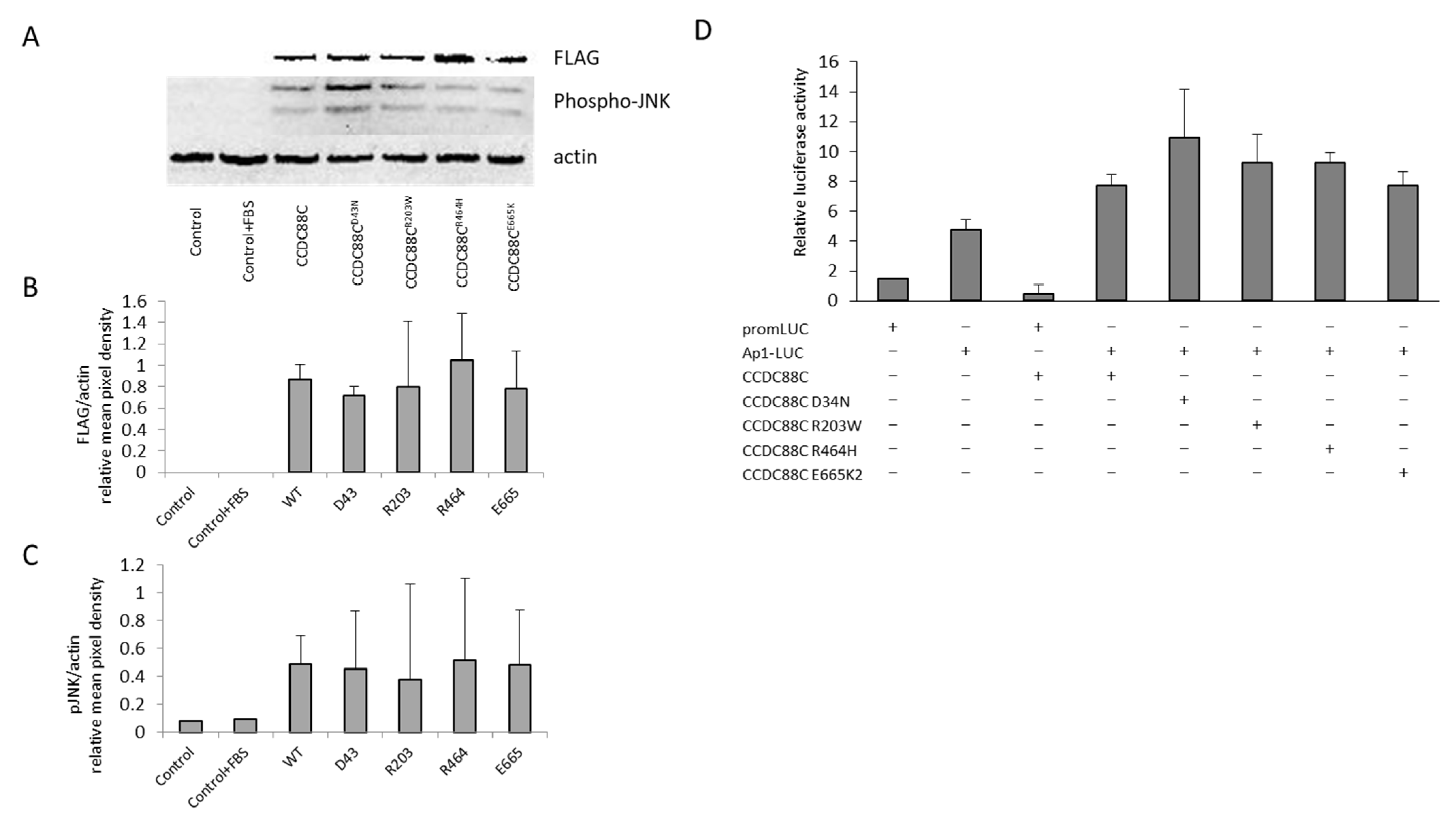 Ijms 24 02617 g002 Ijms 24 02617 g002