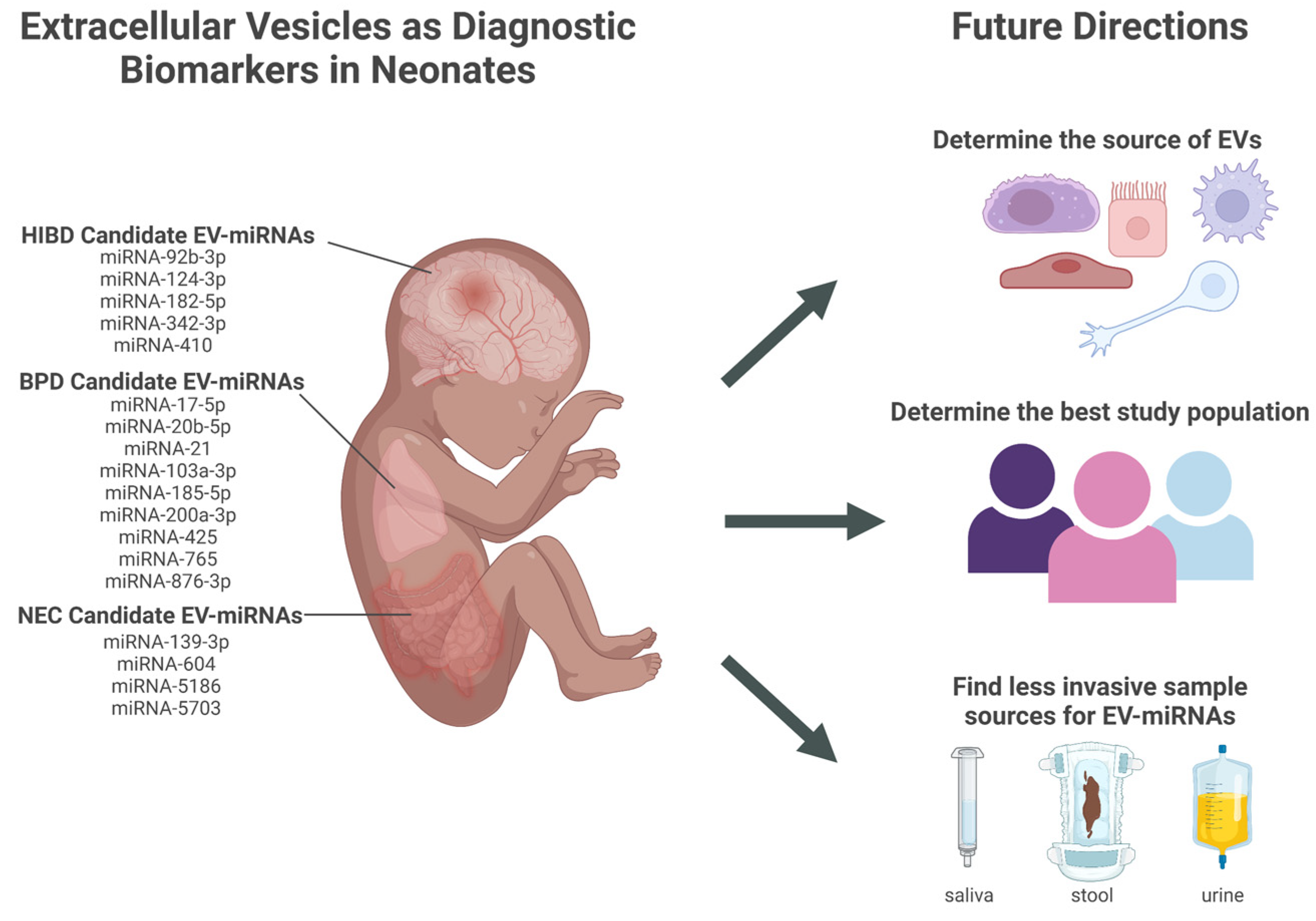 Ijms 24 02622 g001 Ijms 24 02622 g001