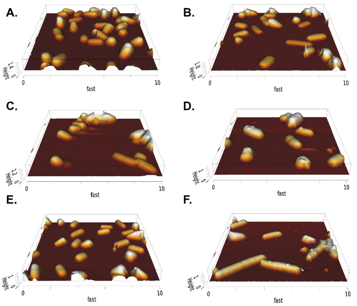 Ijms 24 02641 g003 Ijms 24 02641 g003