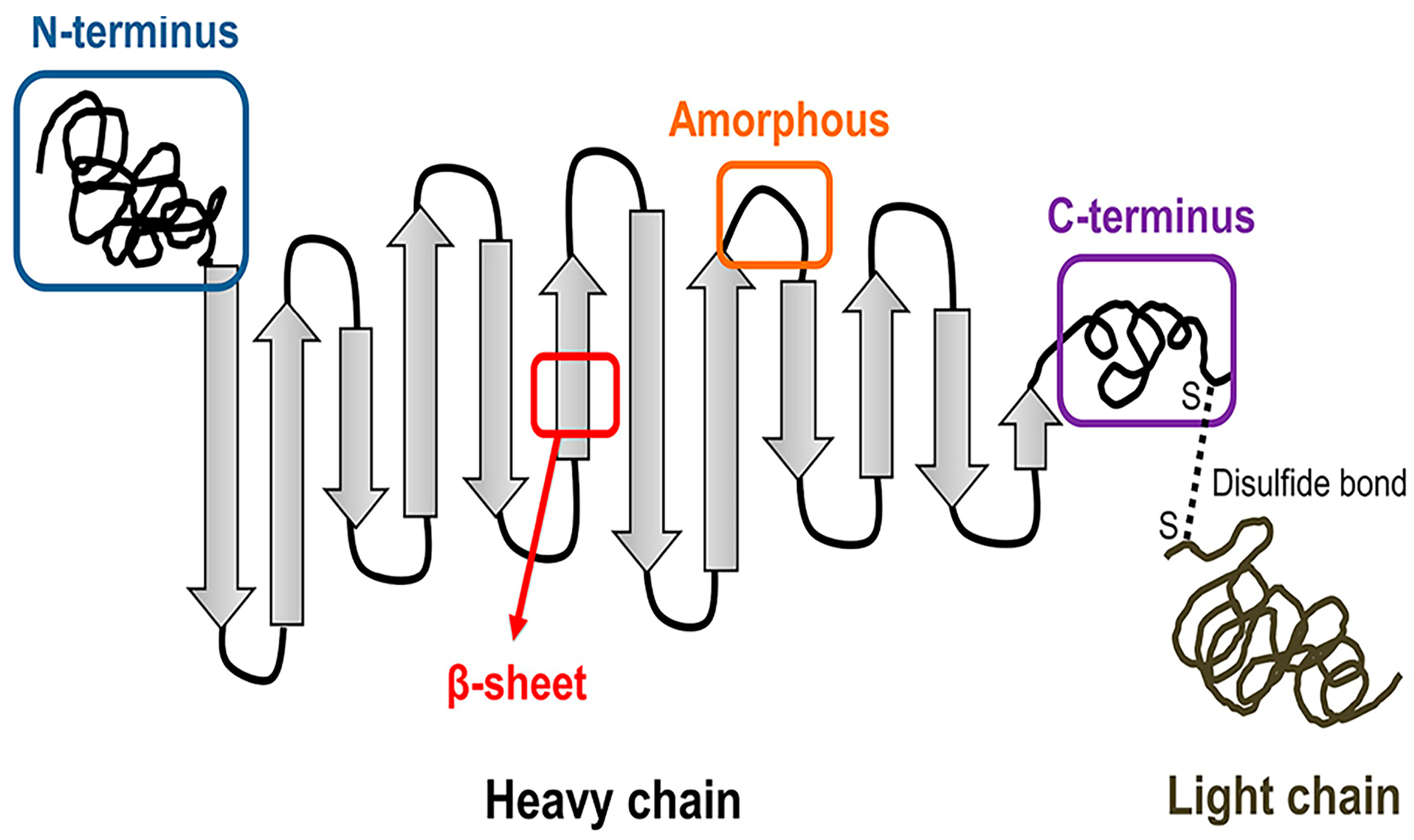 Ijms 24 02660 g001 Ijms 24 02660 g001