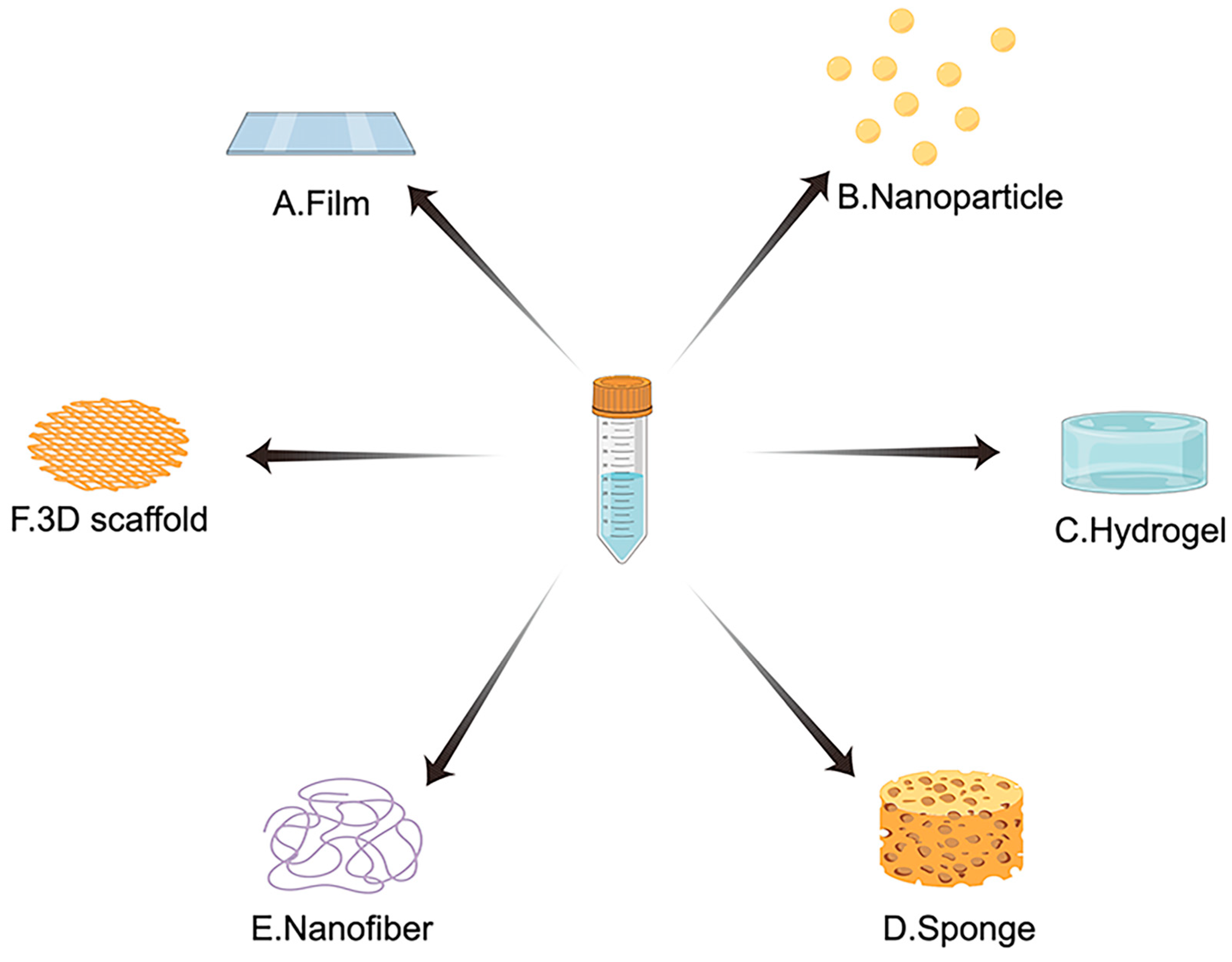 Ijms 24 02660 g004 Ijms 24 02660 g004