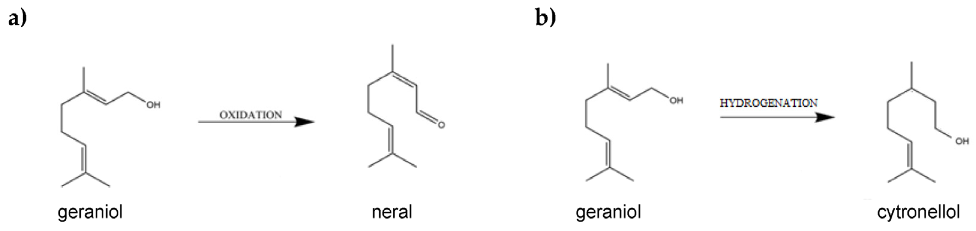 Ijms 24 02689 g002 Ijms 24 02689 g002