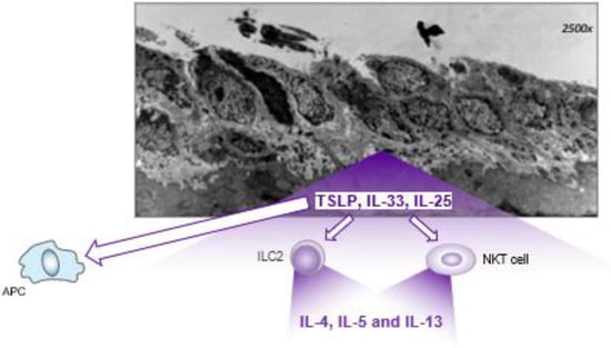 Ijms 24 02716 g0a1 550