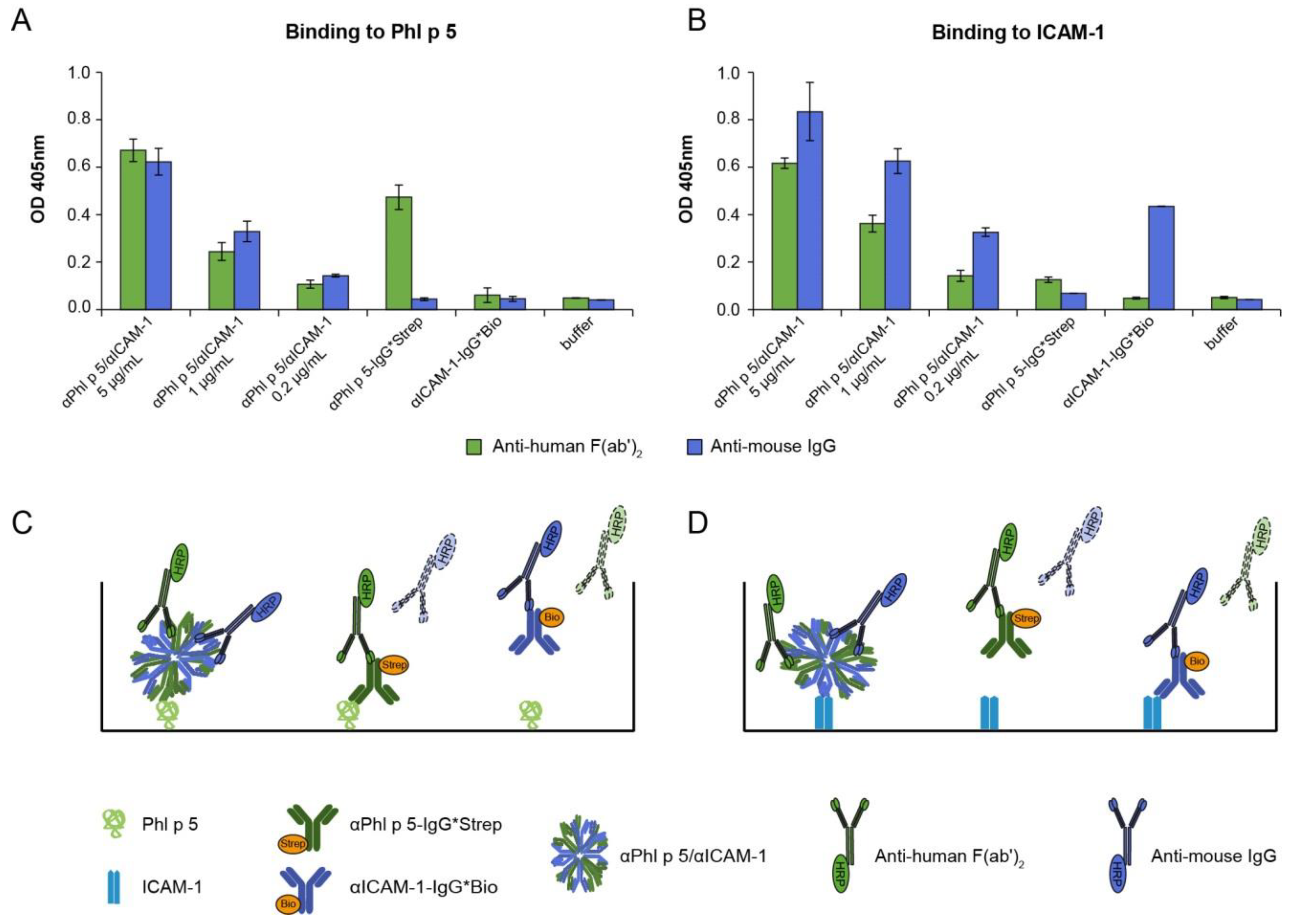 Ijms 24 02725 g001 Ijms 24 02725 g001