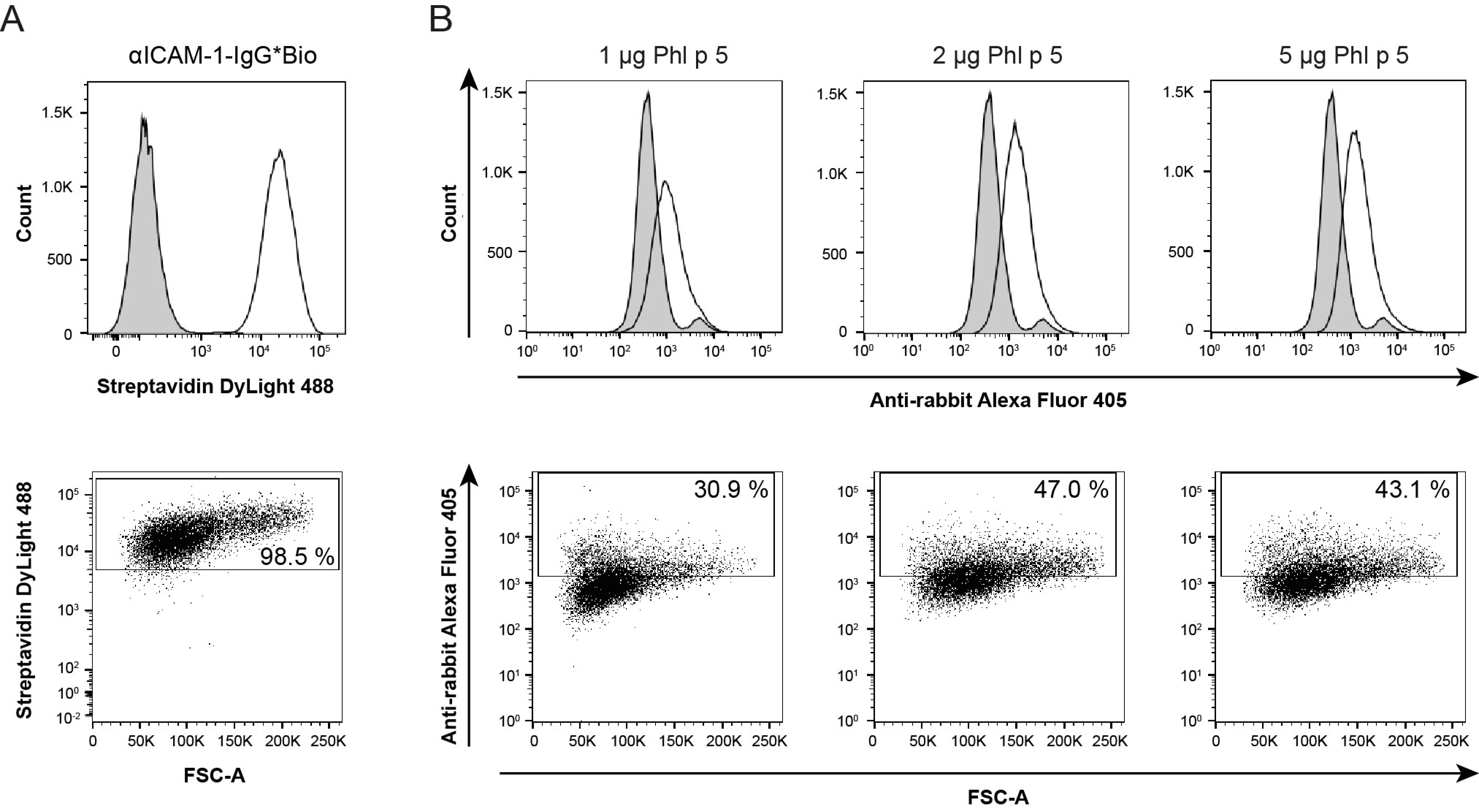 Ijms 24 02725 g002 Ijms 24 02725 g002