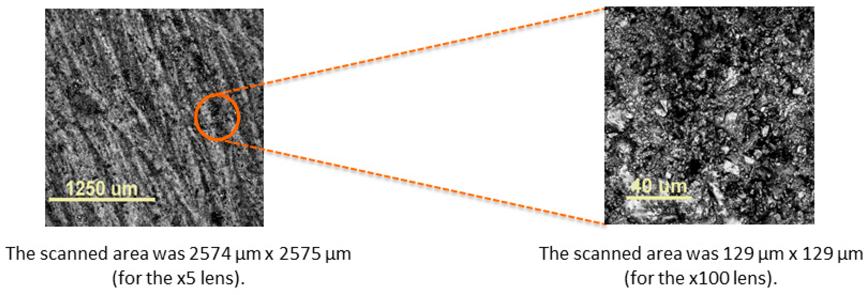 Ijms 24 02752 g005 Ijms 24 02752 g005