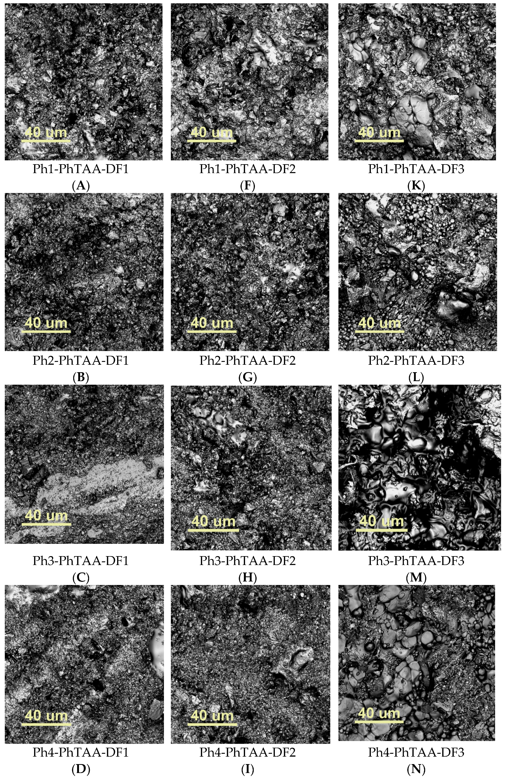 Ijms 24 02752 g006a Ijms 24 02752 g006a