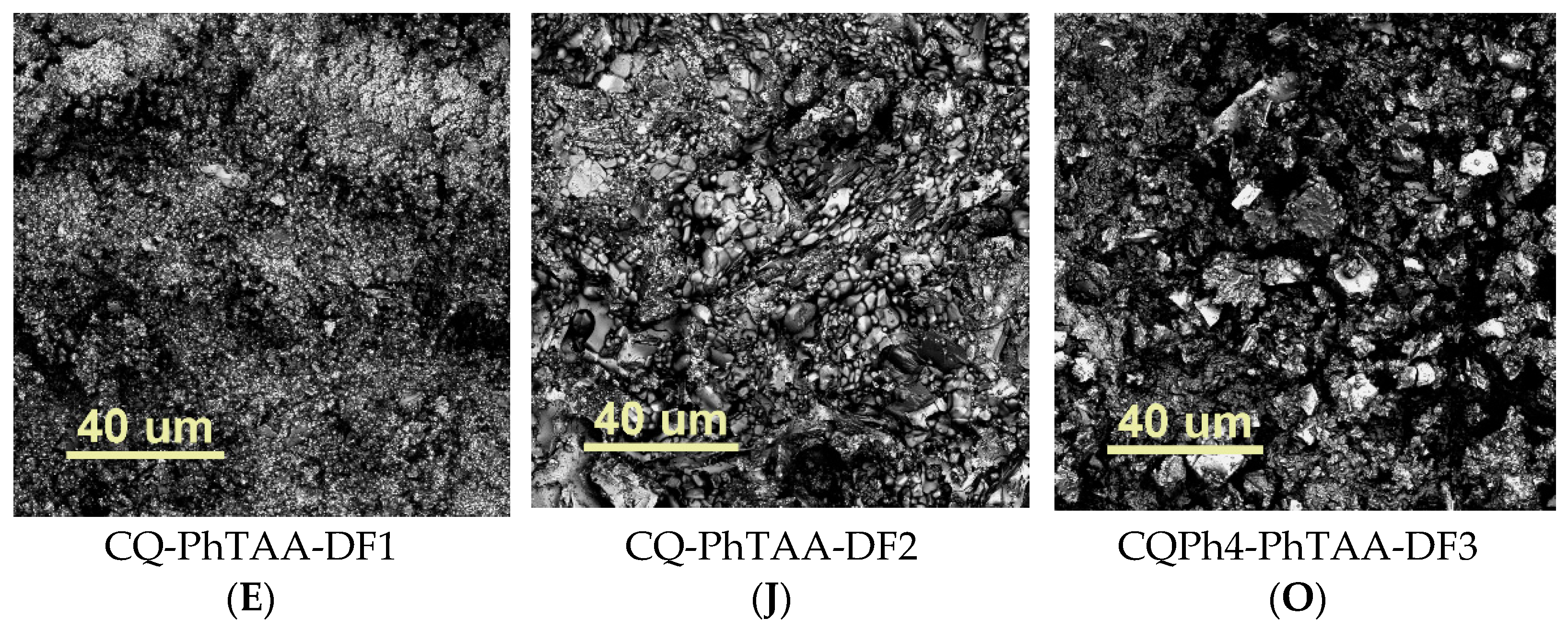 Ijms 24 02752 g006b Ijms 24 02752 g006b