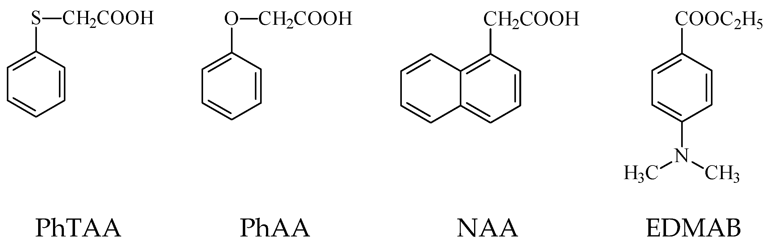 Ijms 24 02752 g008 Ijms 24 02752 g008