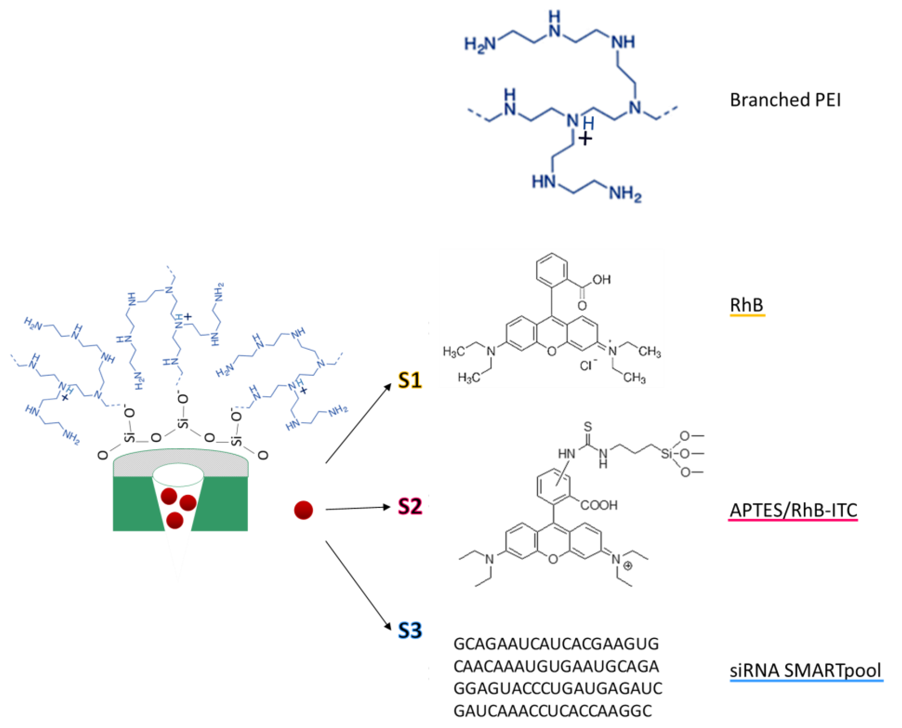 Ijms 24 02753 sch001