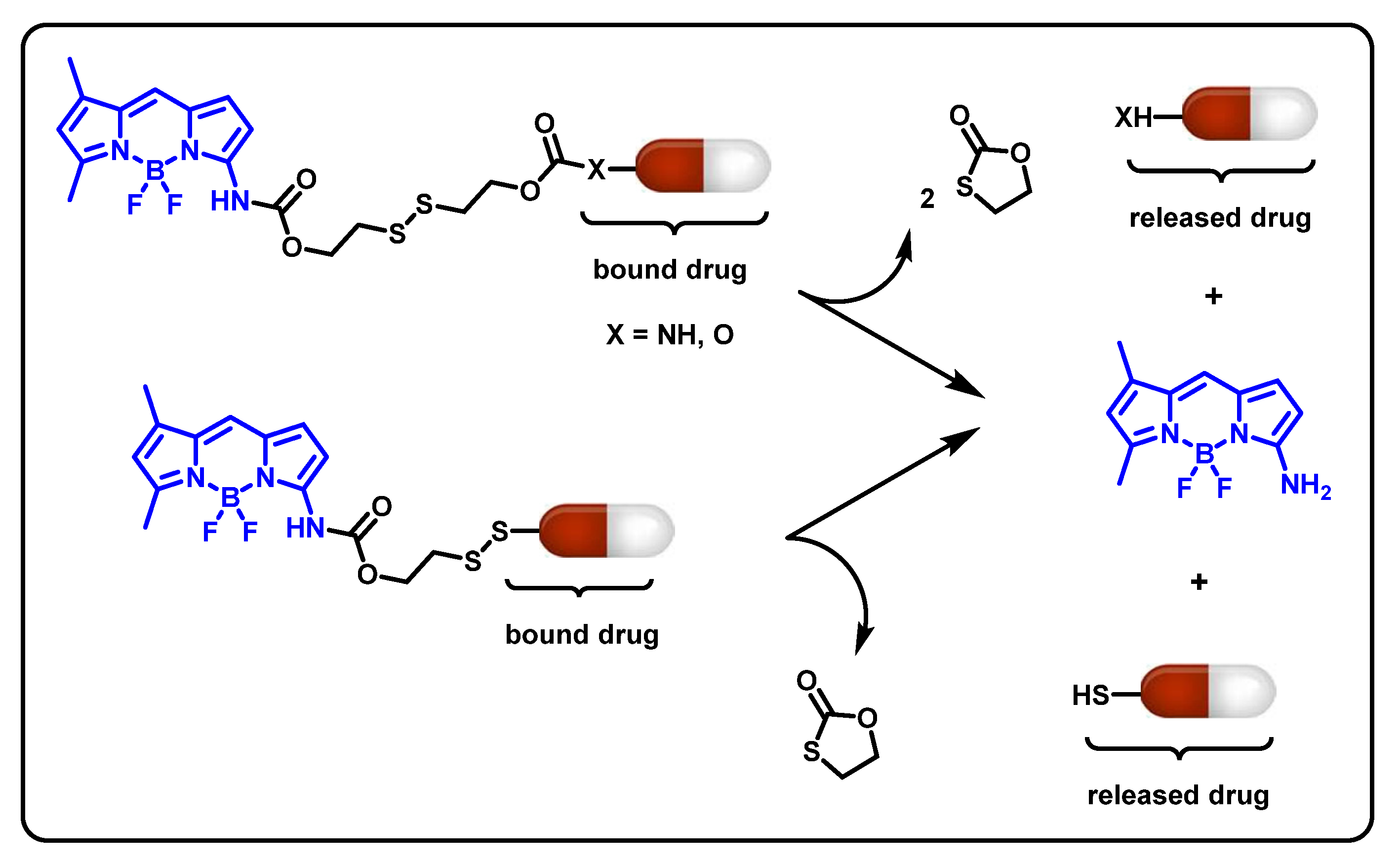 Ijms 24 02757 sch001