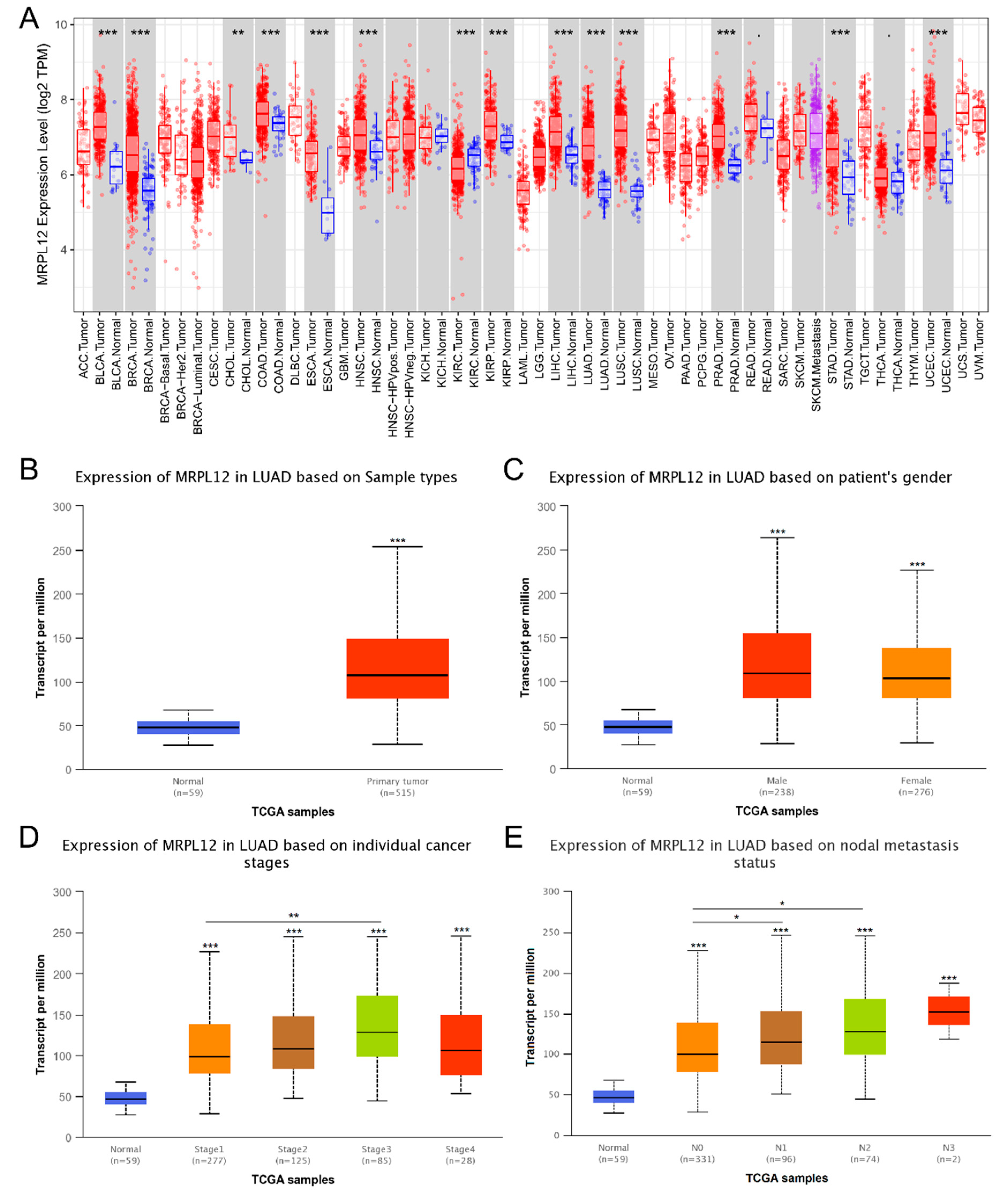 Ijms 24 02762 g001 Ijms 24 02762 g001
