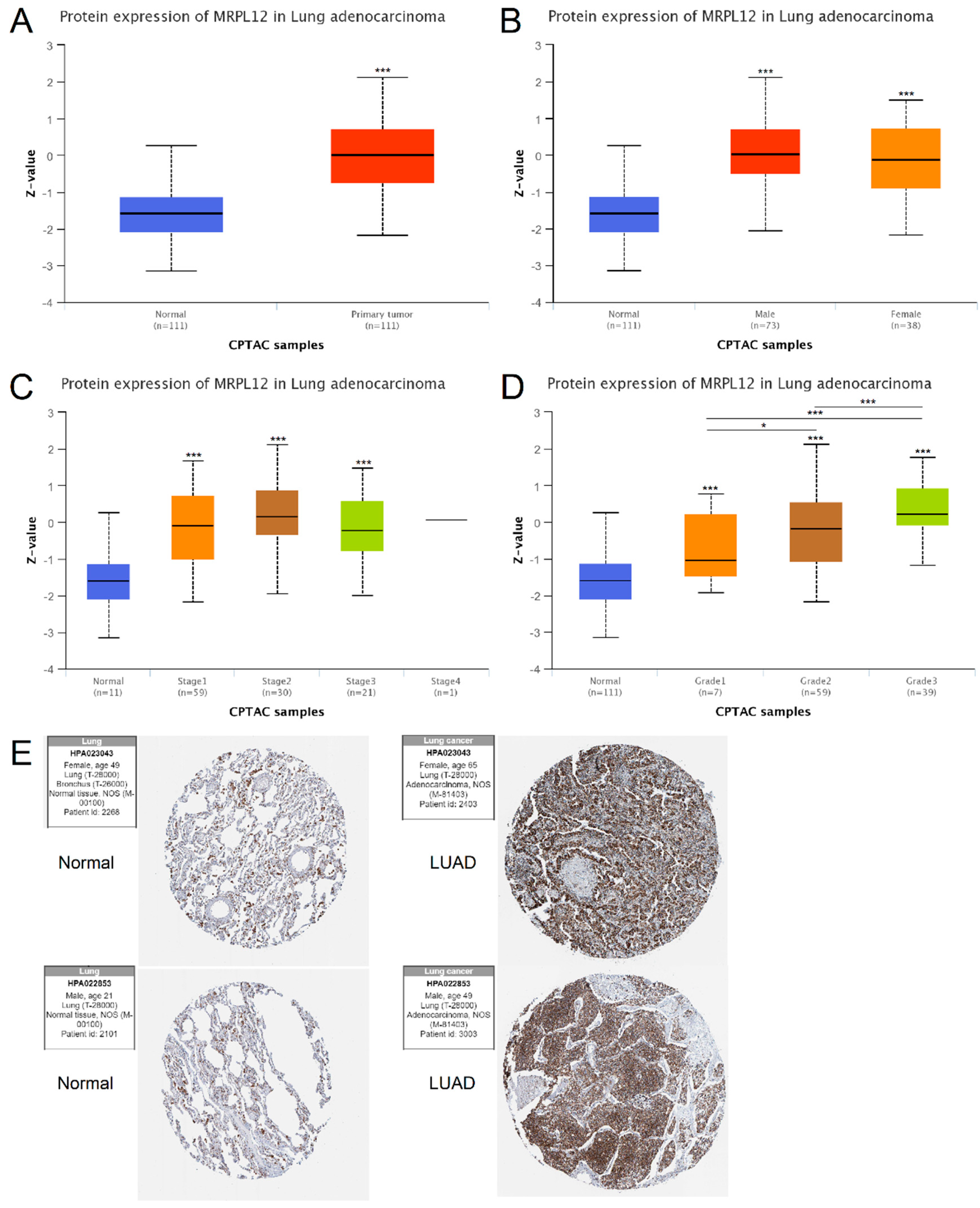 Ijms 24 02762 g002 Ijms 24 02762 g002