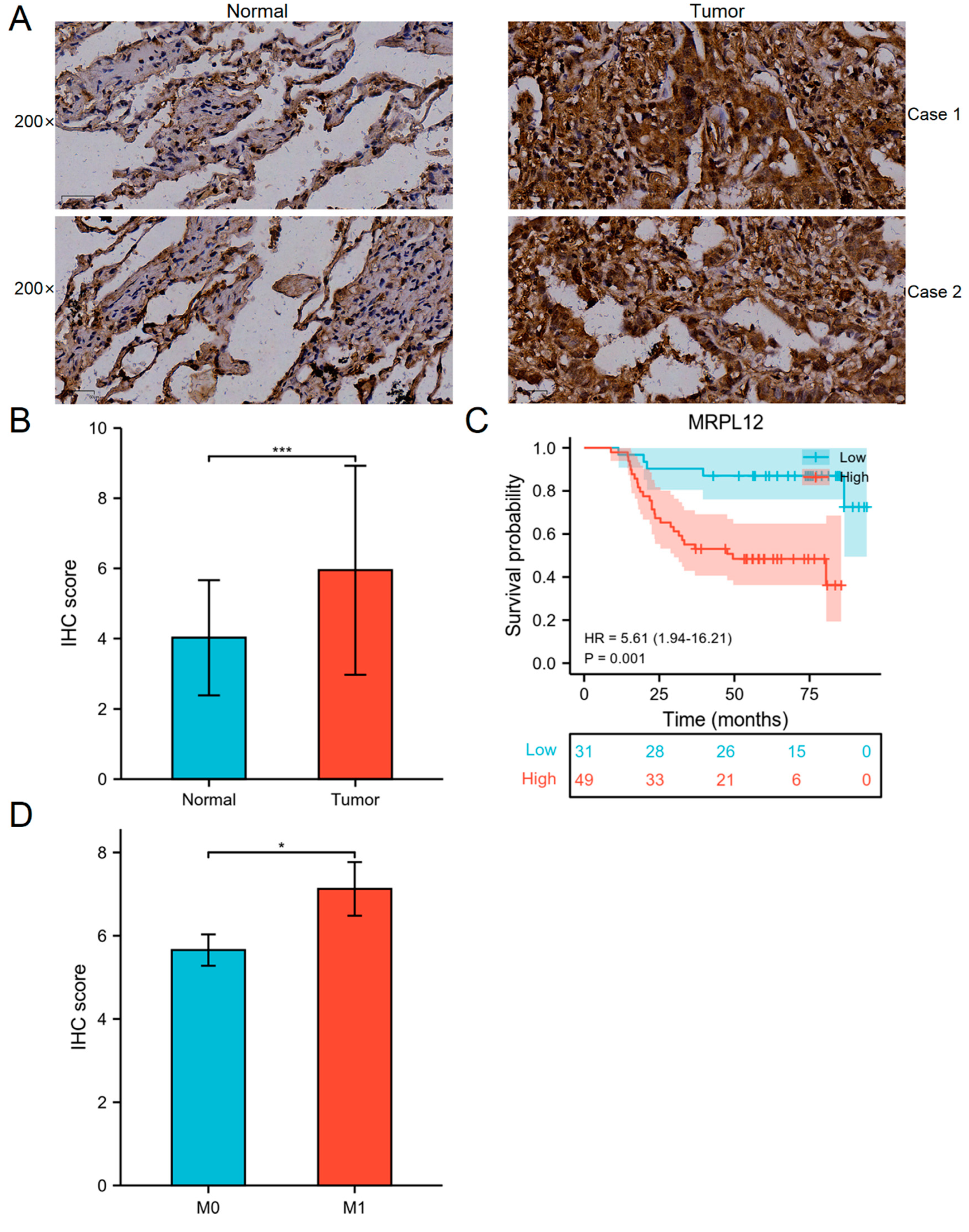 Ijms 24 02762 g004 Ijms 24 02762 g004