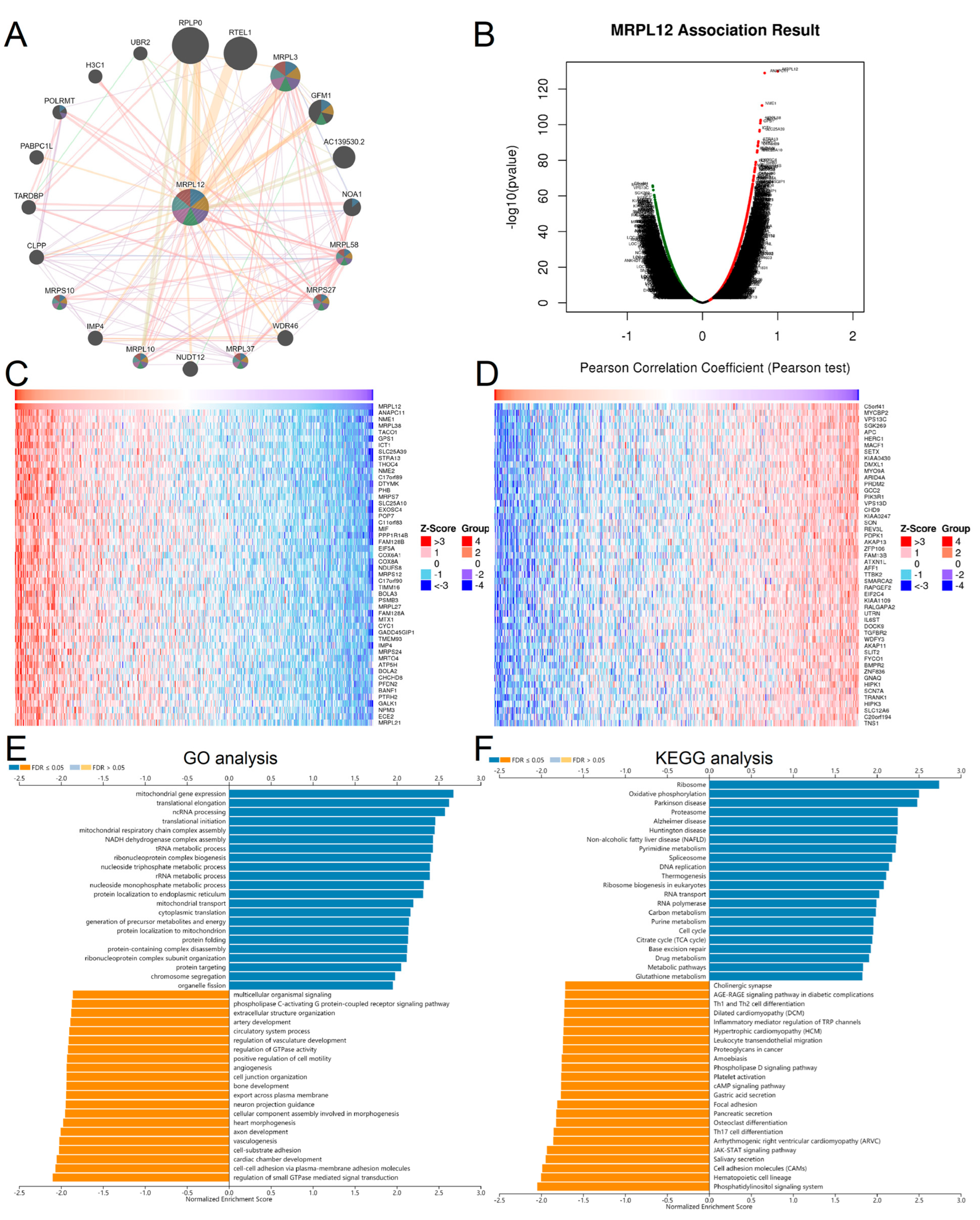 Ijms 24 02762 g005 Ijms 24 02762 g005