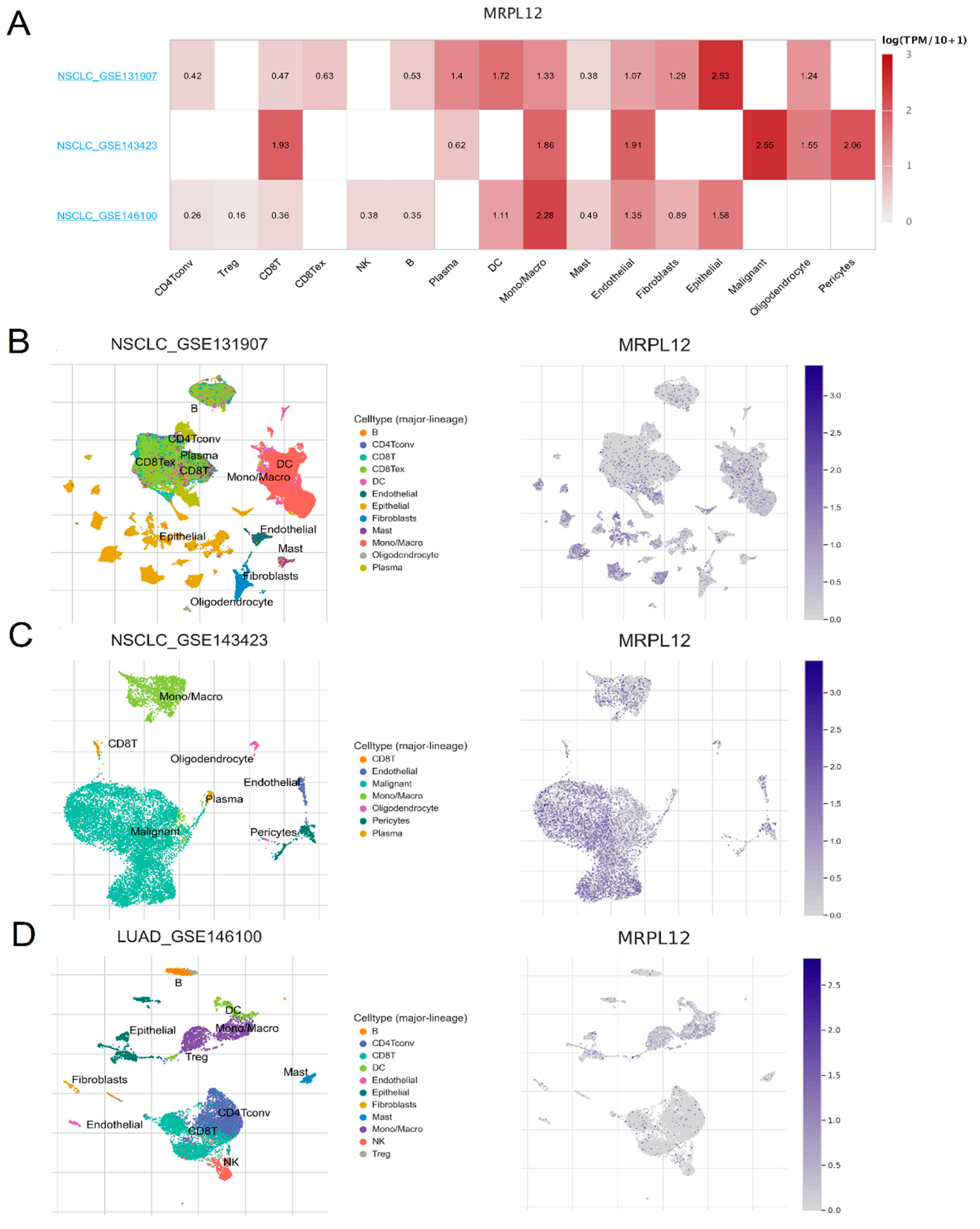 Ijms 24 02762 g006 Ijms 24 02762 g006