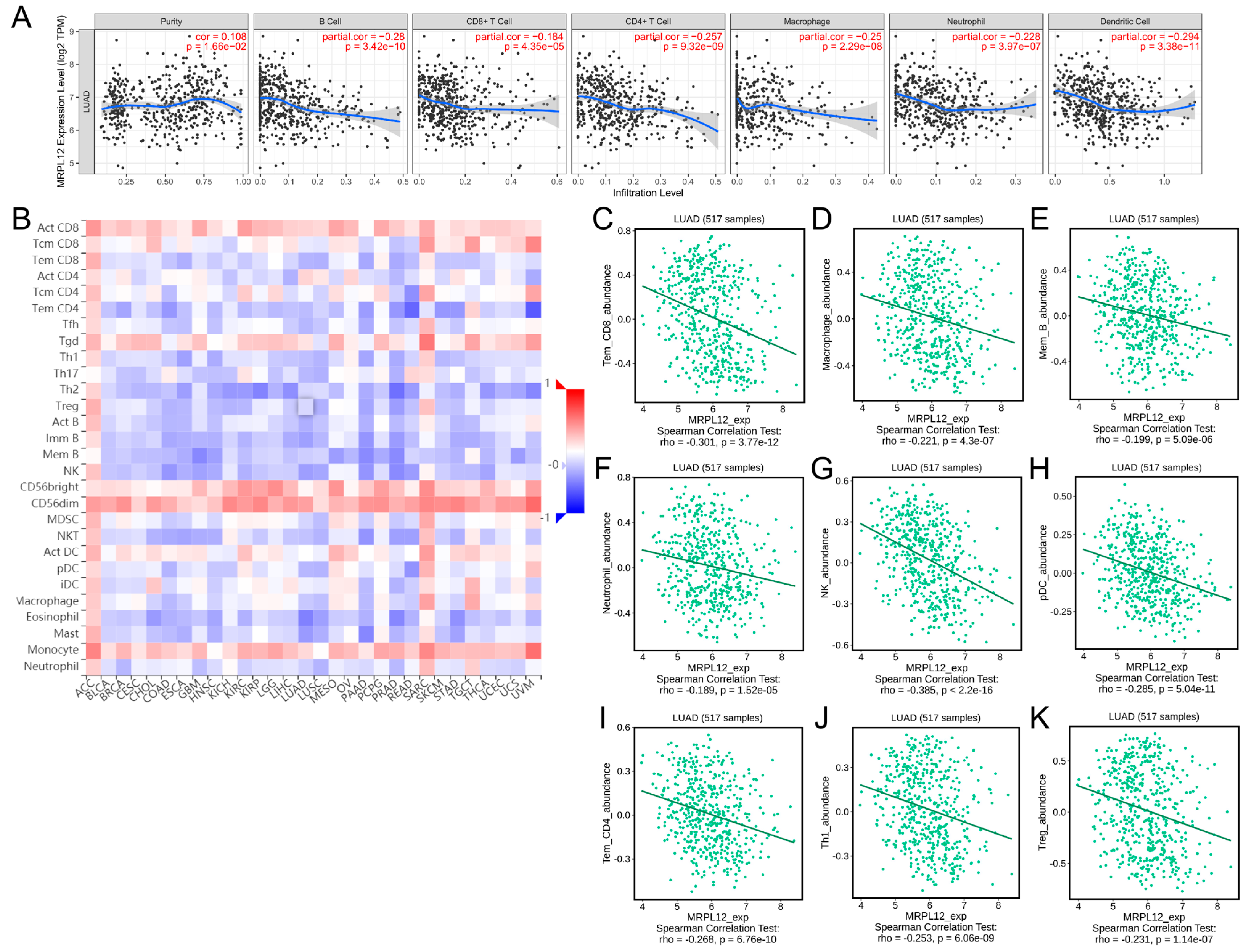 Ijms 24 02762 g007 Ijms 24 02762 g007