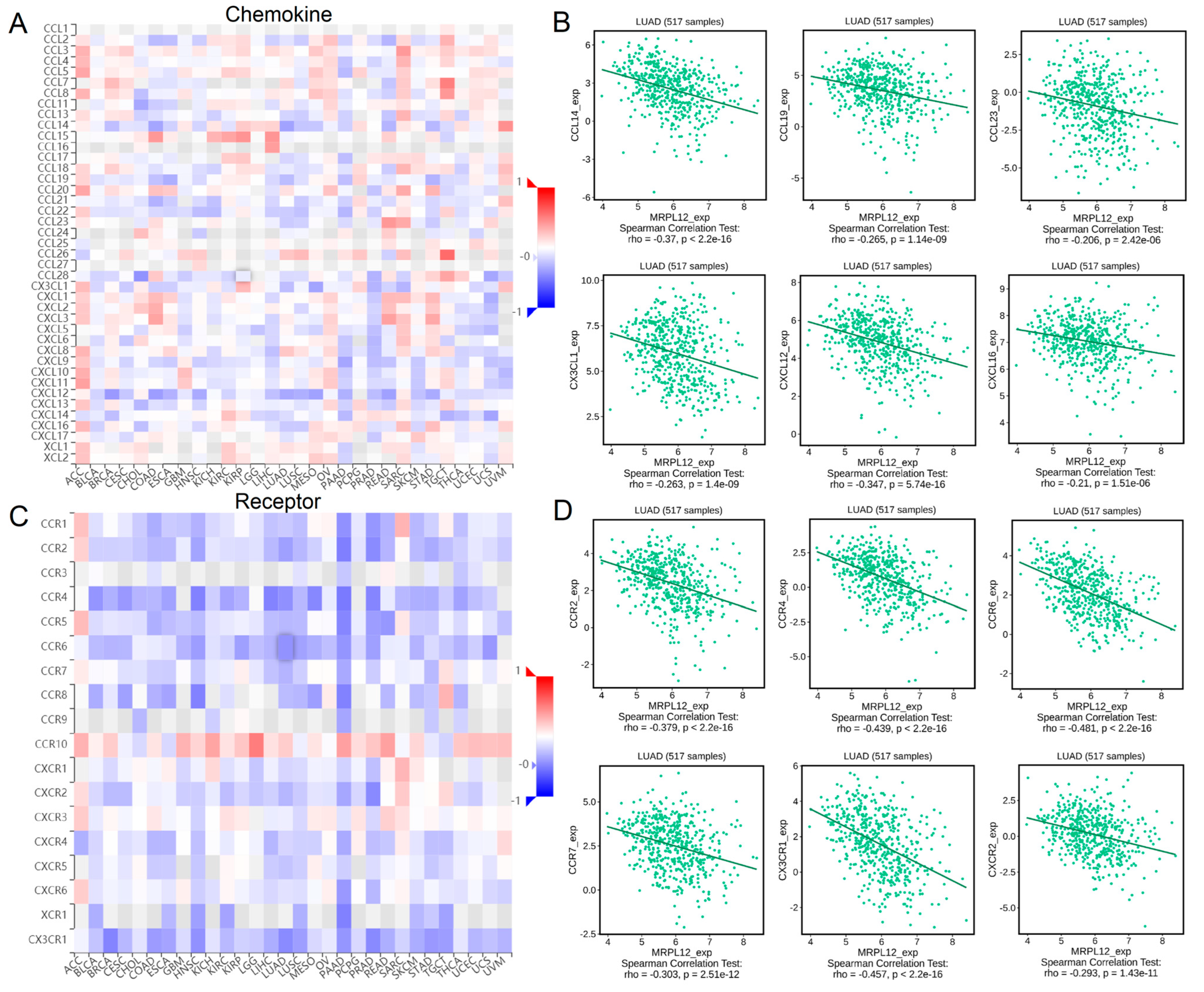 Ijms 24 02762 g009 Ijms 24 02762 g009