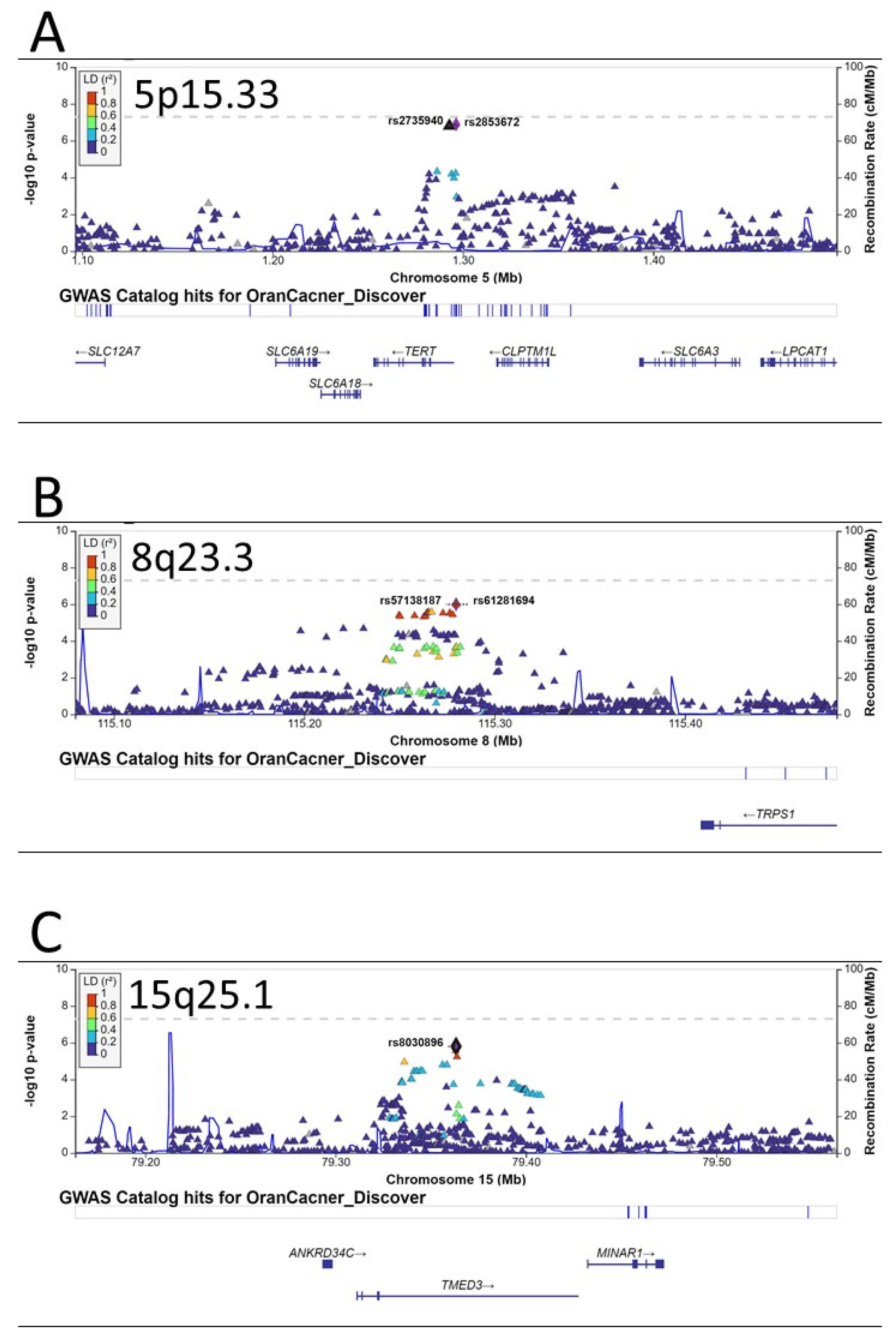Ijms 24 02789 g003 Ijms 24 02789 g003