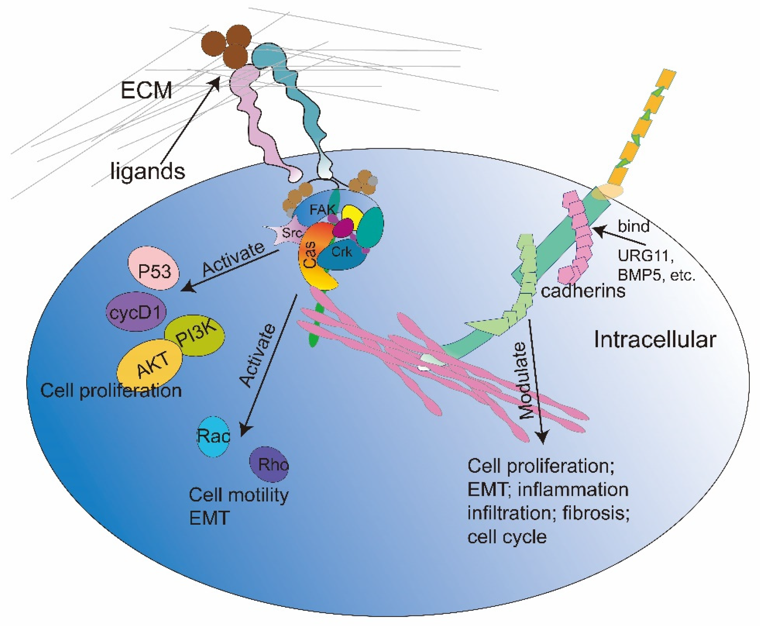 Ijms 24 02870 g003 Ijms 24 02870 g003