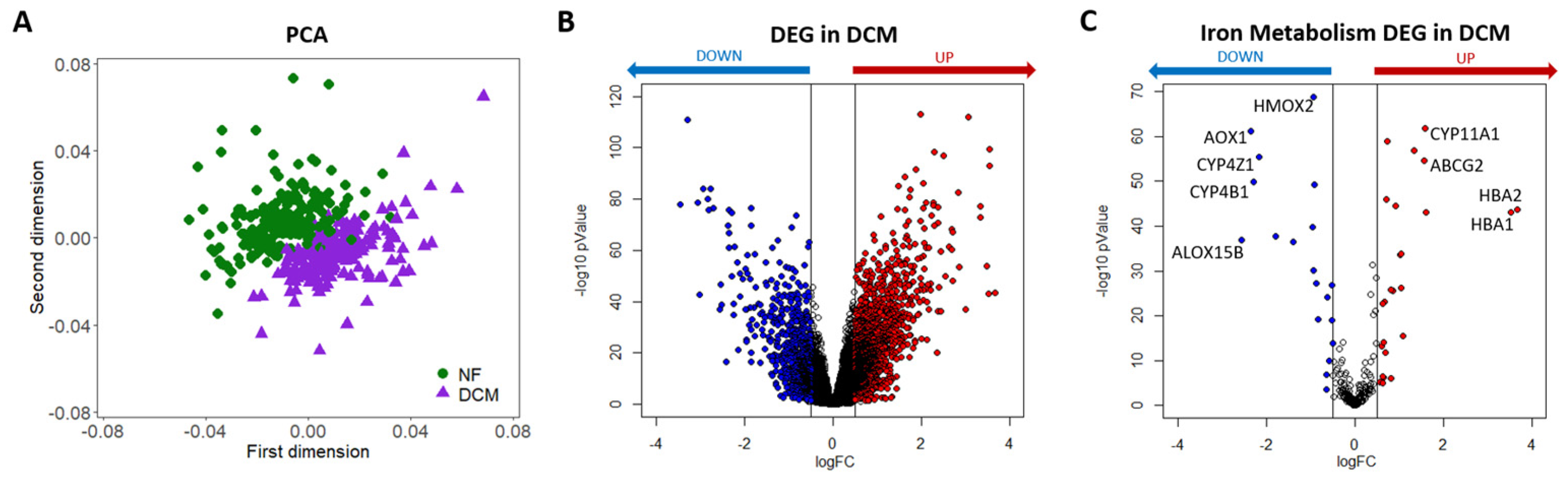 Ijms 24 02887 g001 Ijms 24 02887 g001