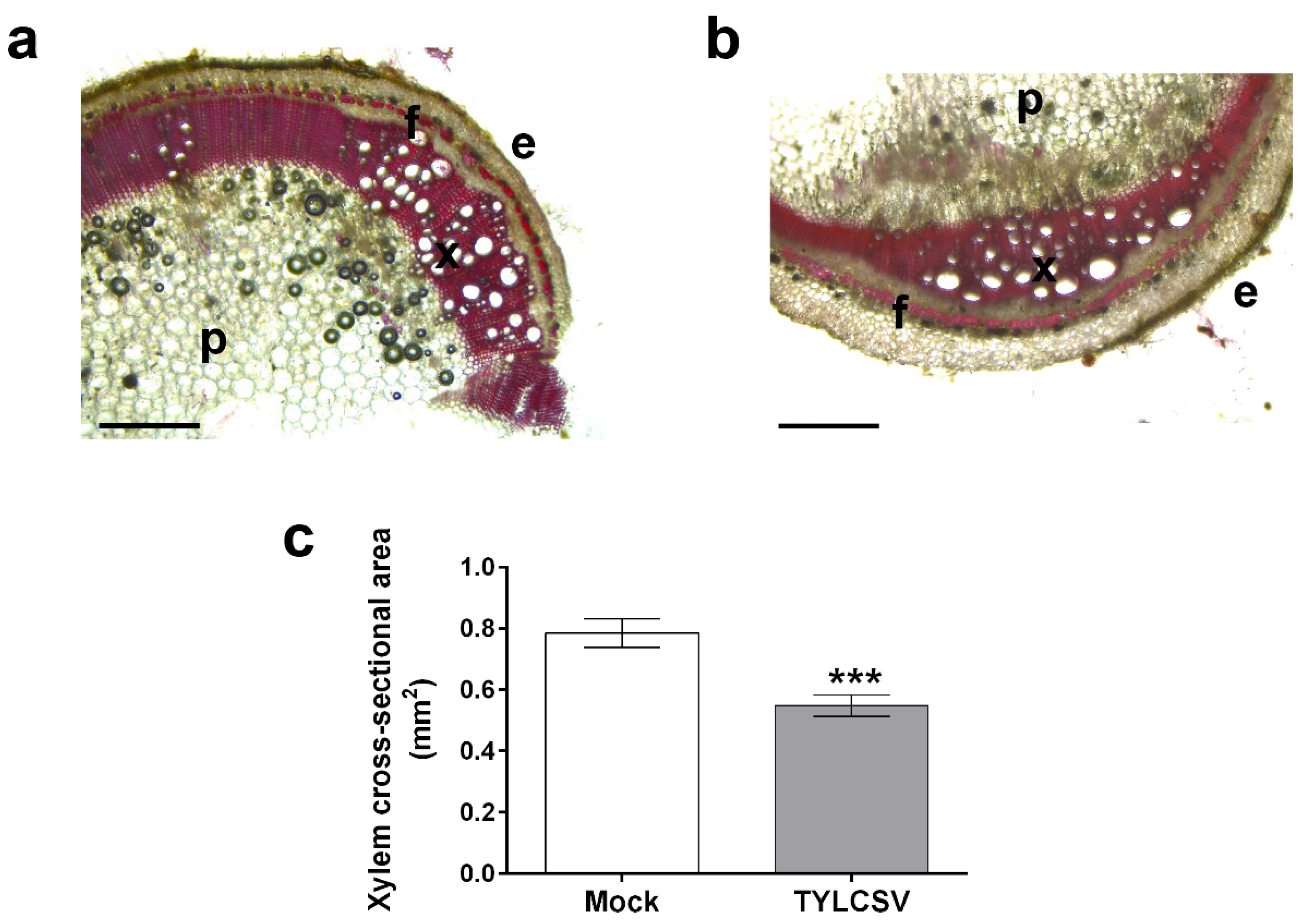 Ijms 24 02893 g005 Ijms 24 02893 g005
