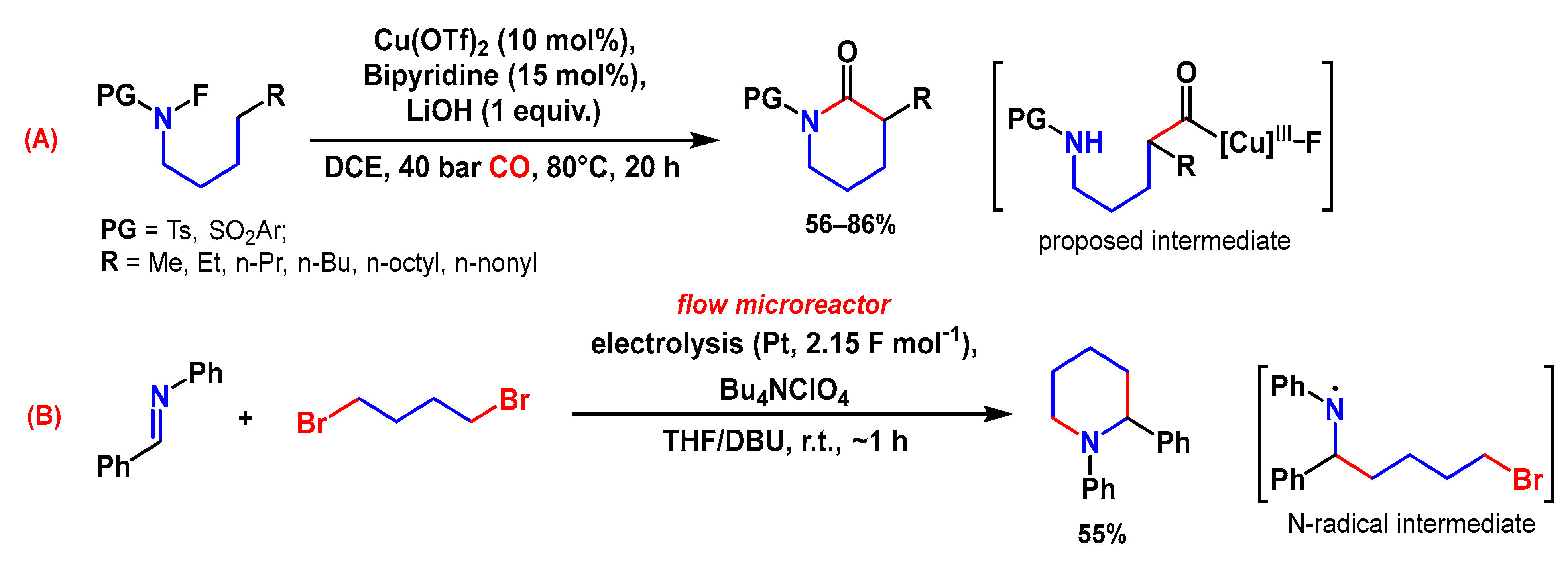 Ijms 24 02937 sch050 Ijms 24 02937 sch050