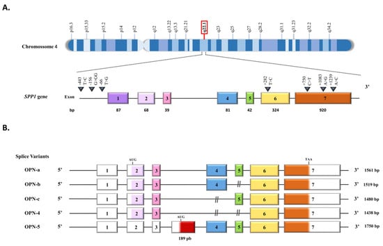 Ijms 24 02942 g001a Ijms 24 02942 g001a