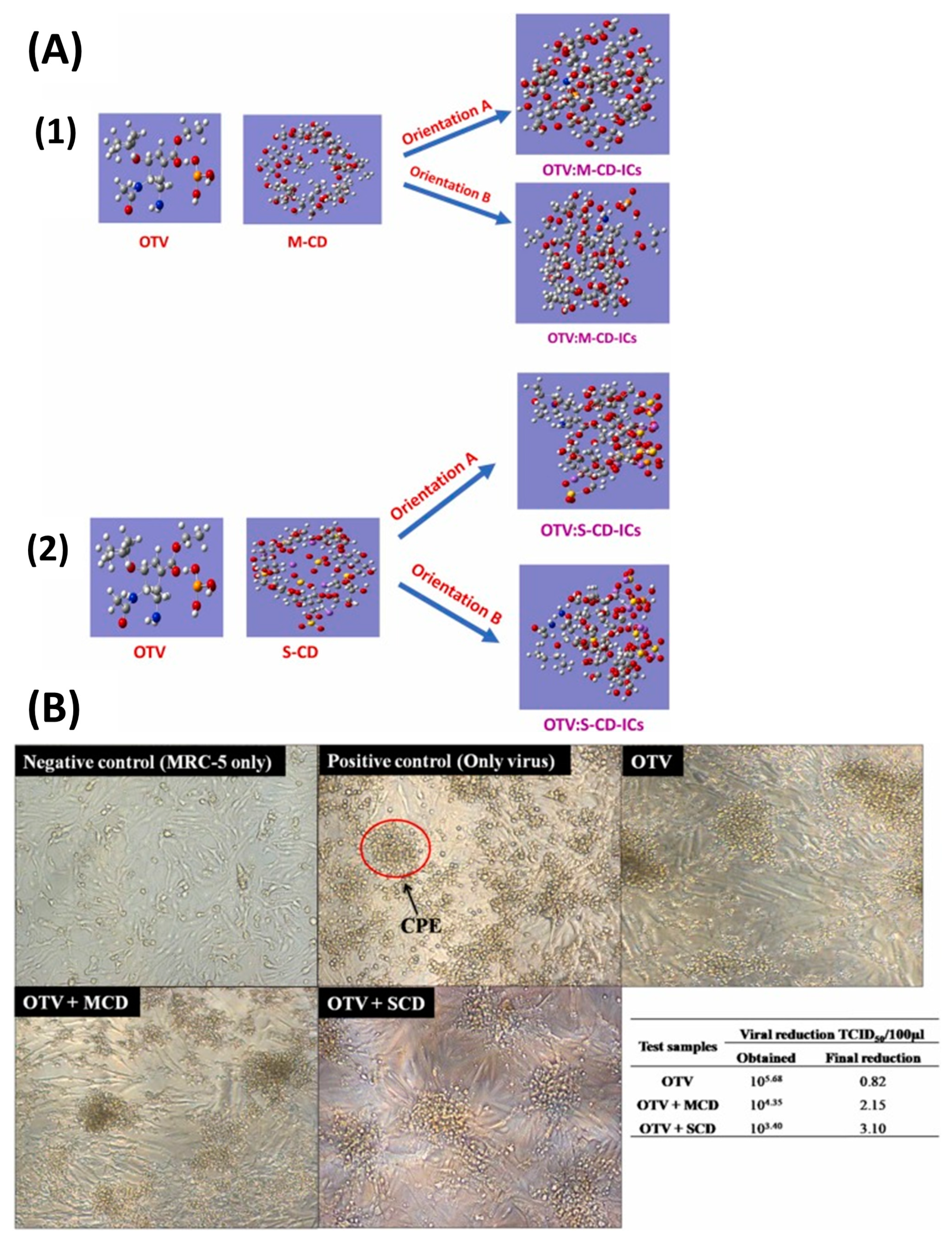 Ijms 24 02974 g008 Ijms 24 02974 g008