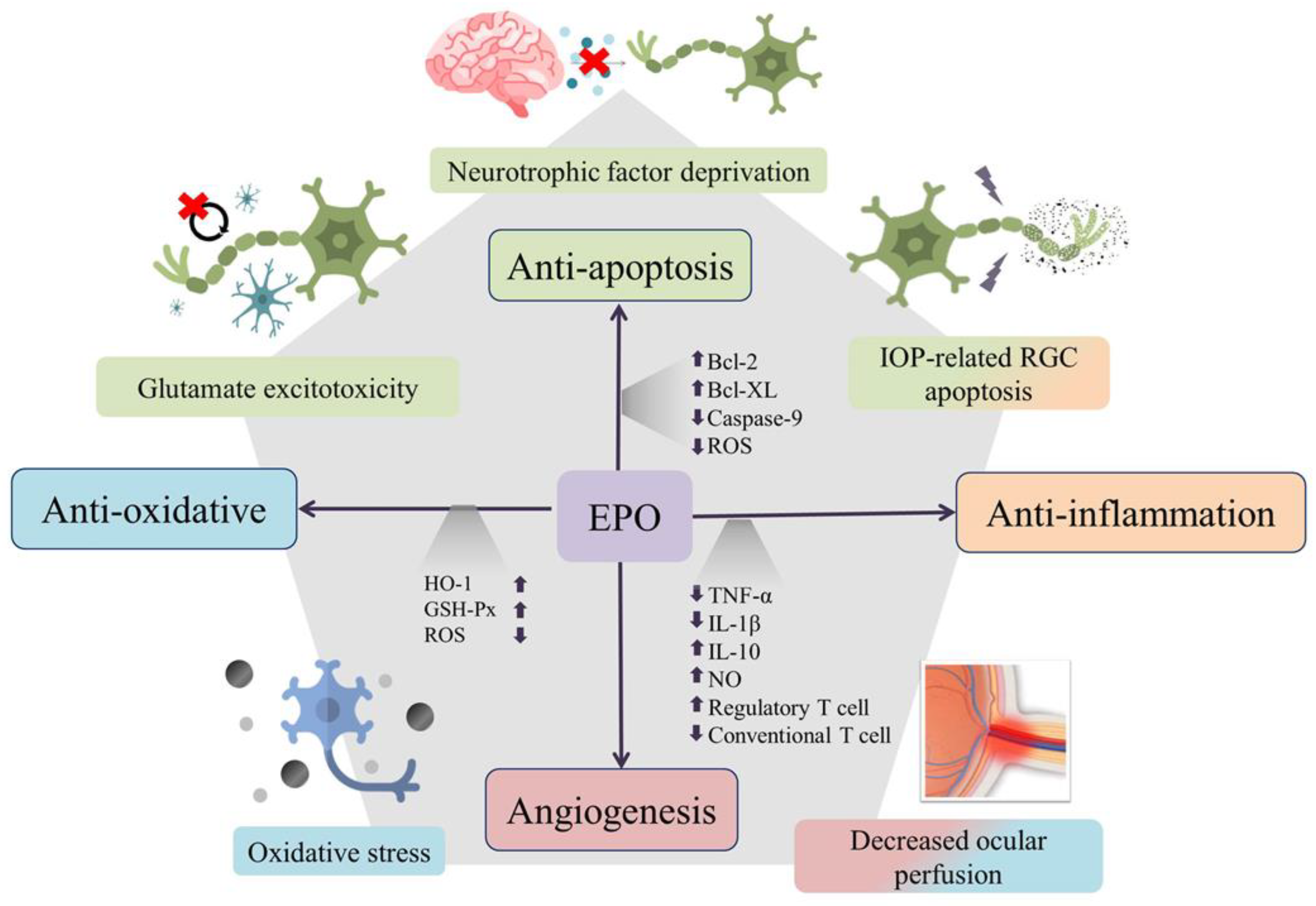 Ijms 24 02985 g001 Ijms 24 02985 g001