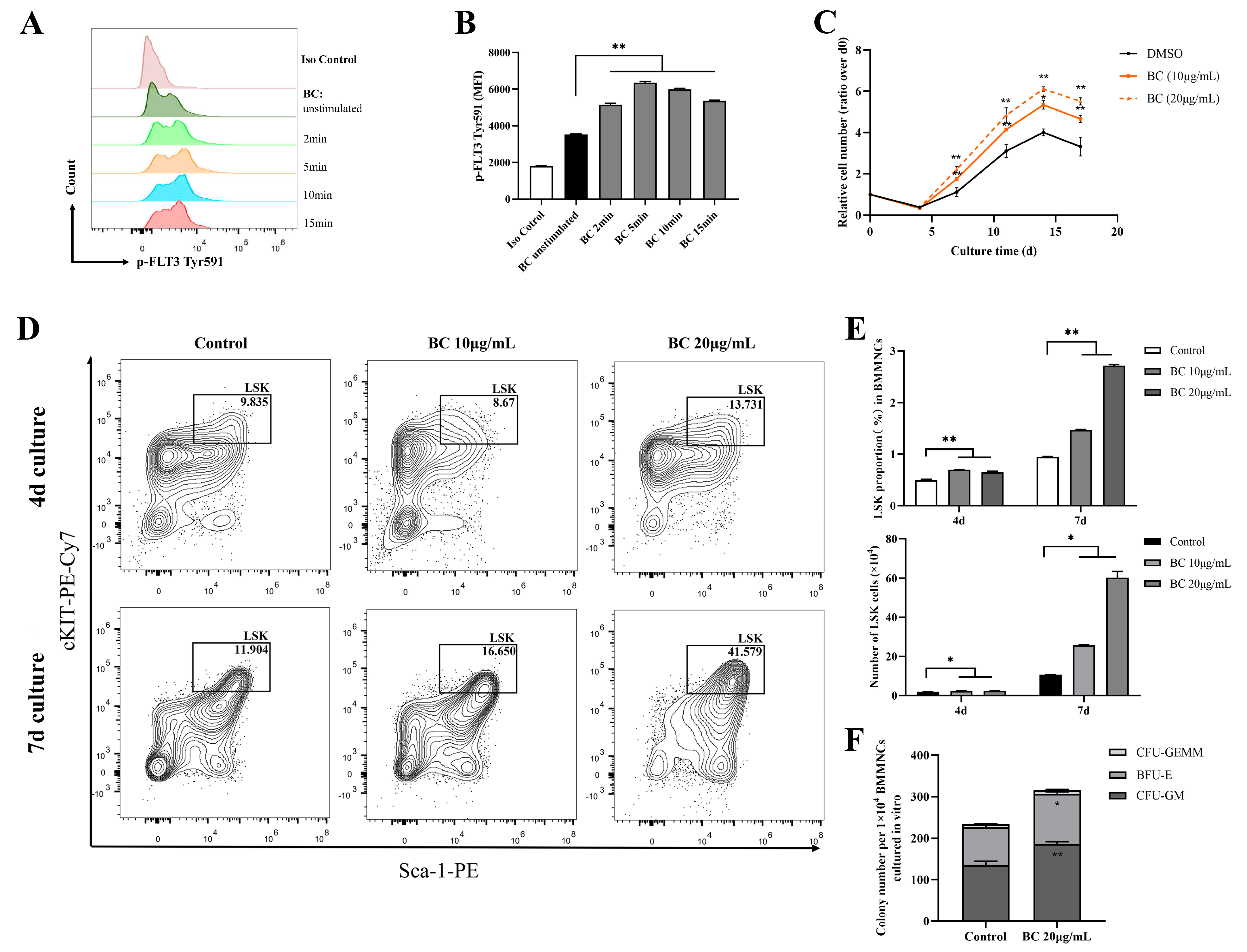 Ijms 24 02987 g003 Ijms 24 02987 g003