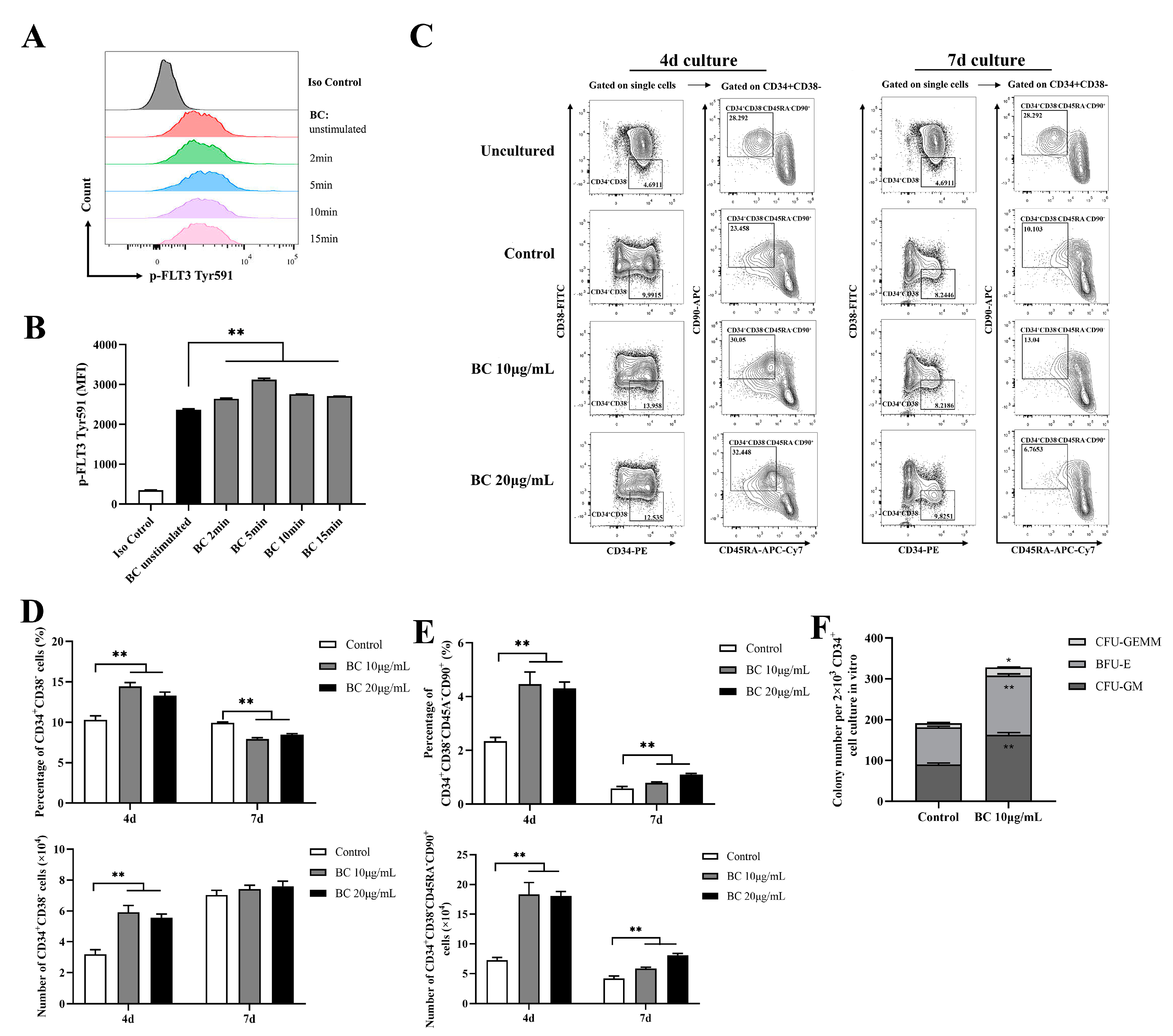 Ijms 24 02987 g004 Ijms 24 02987 g004