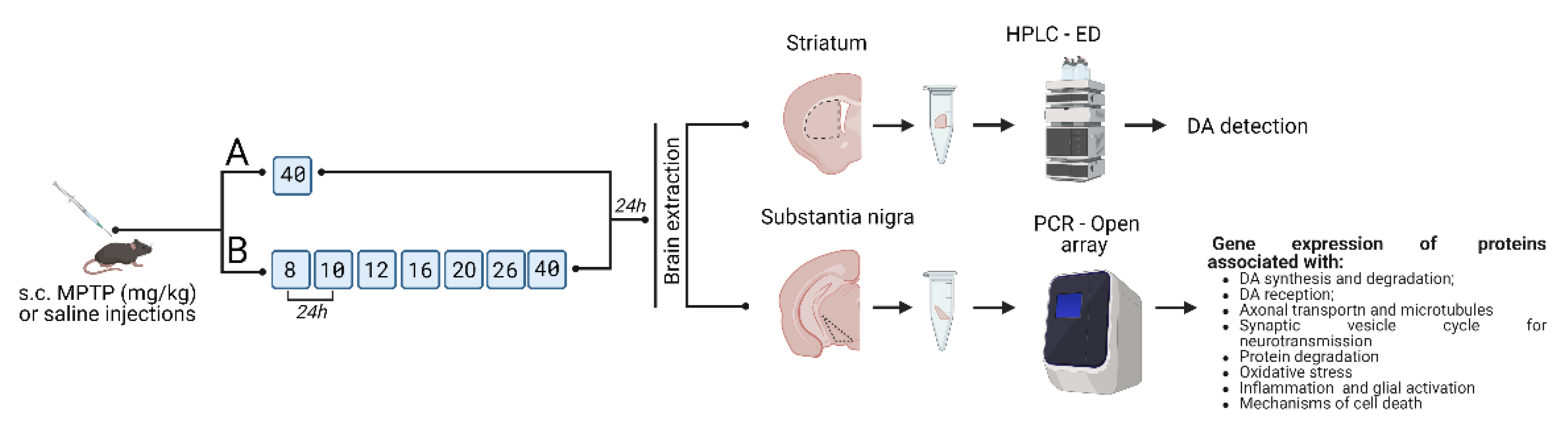 Ijms 24 03027 g001 Ijms 24 03027 g001