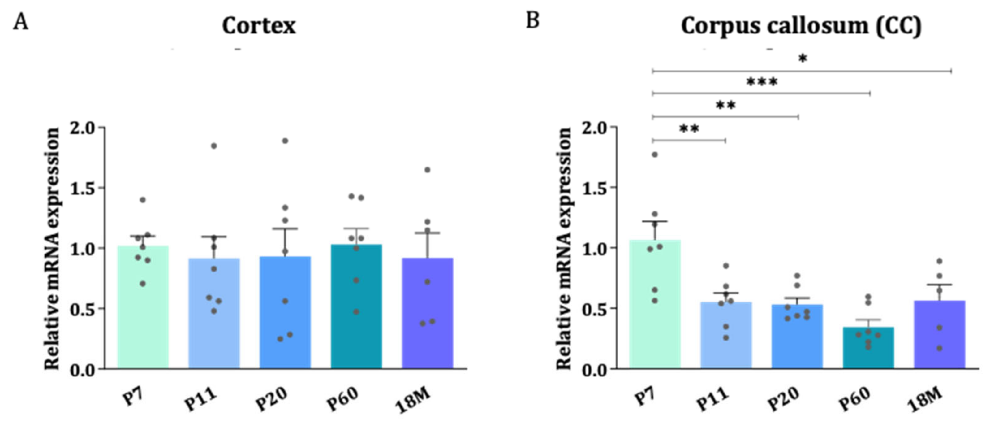 Ijms 24 03048 g002 Ijms 24 03048 g002