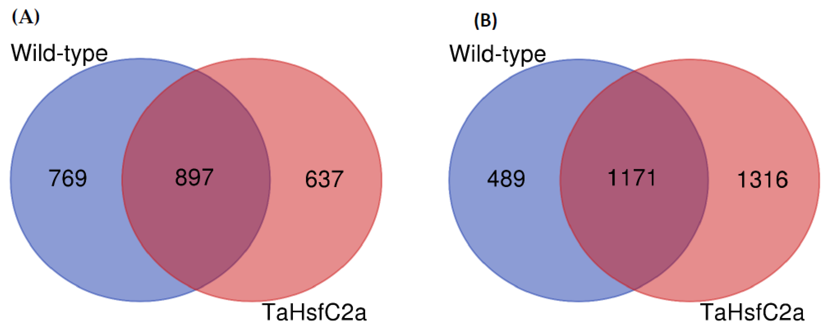 Ijms 24 03099 g001 Ijms 24 03099 g001