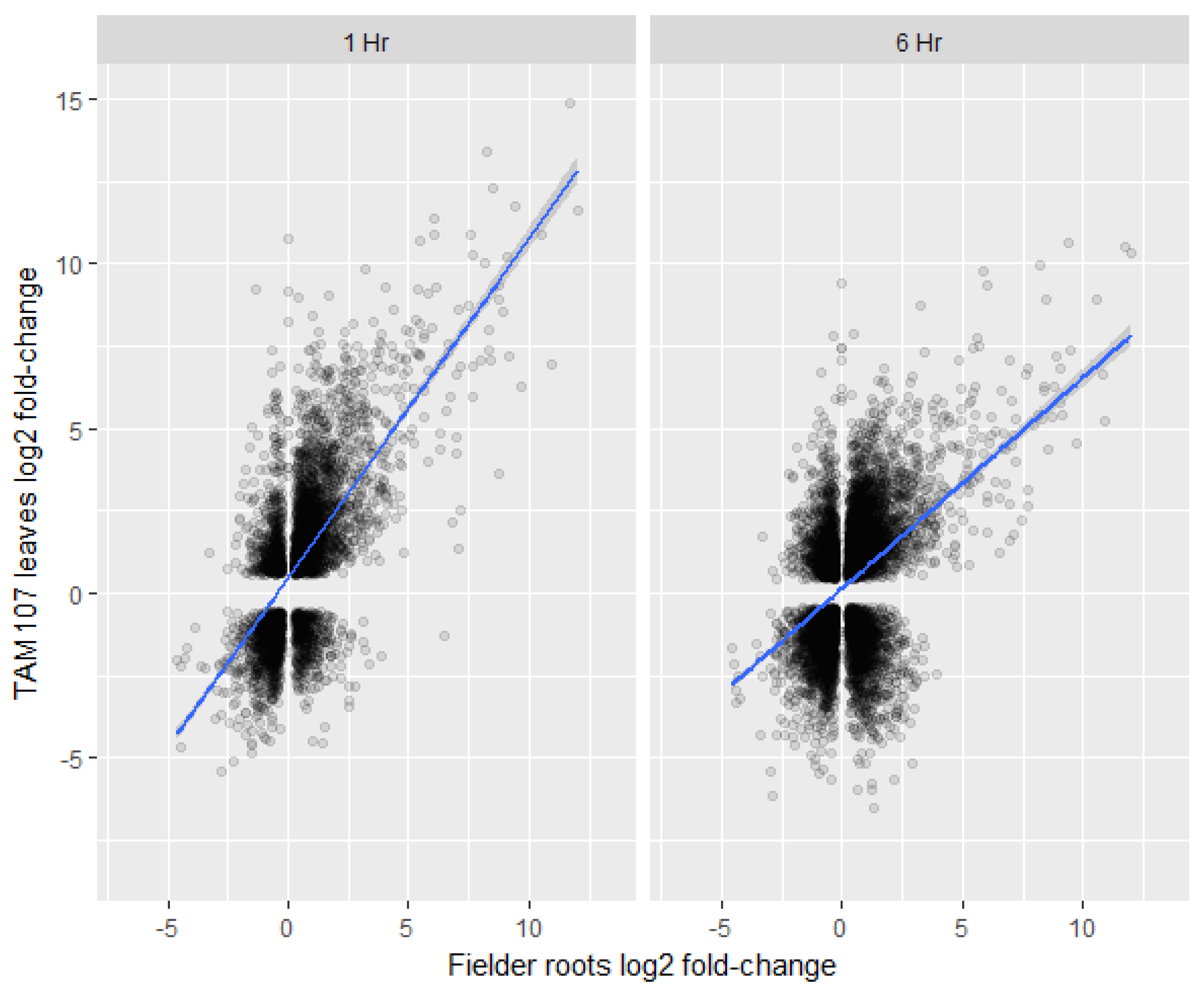 Ijms 24 03099 g007 Ijms 24 03099 g007