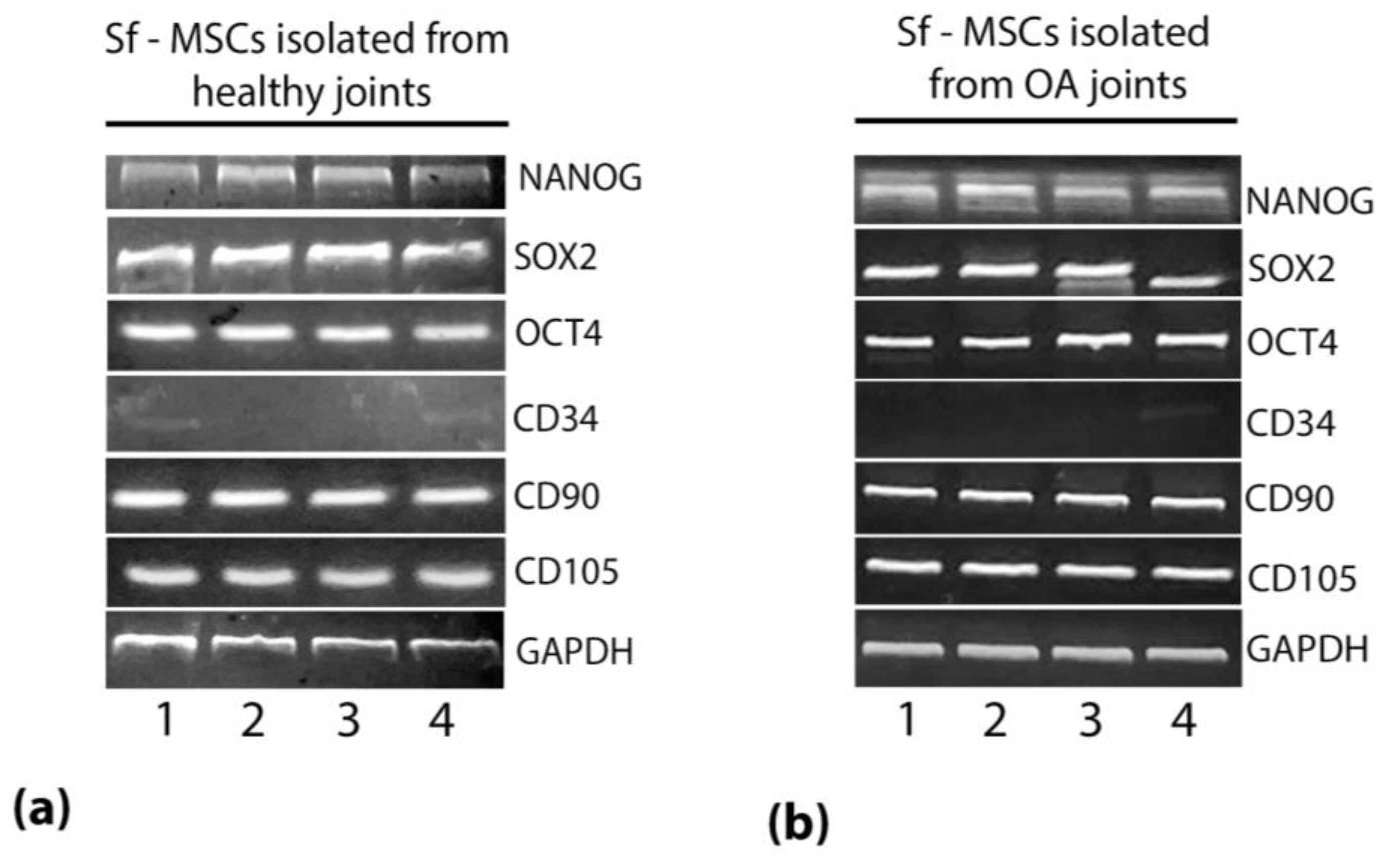 Ijms 24 03109 g001 Ijms 24 03109 g001
