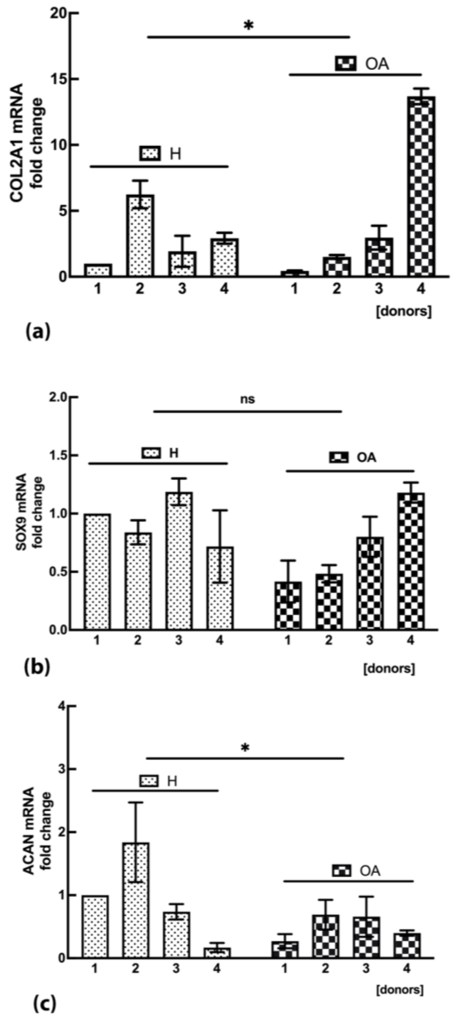 Ijms 24 03109 g006 Ijms 24 03109 g006