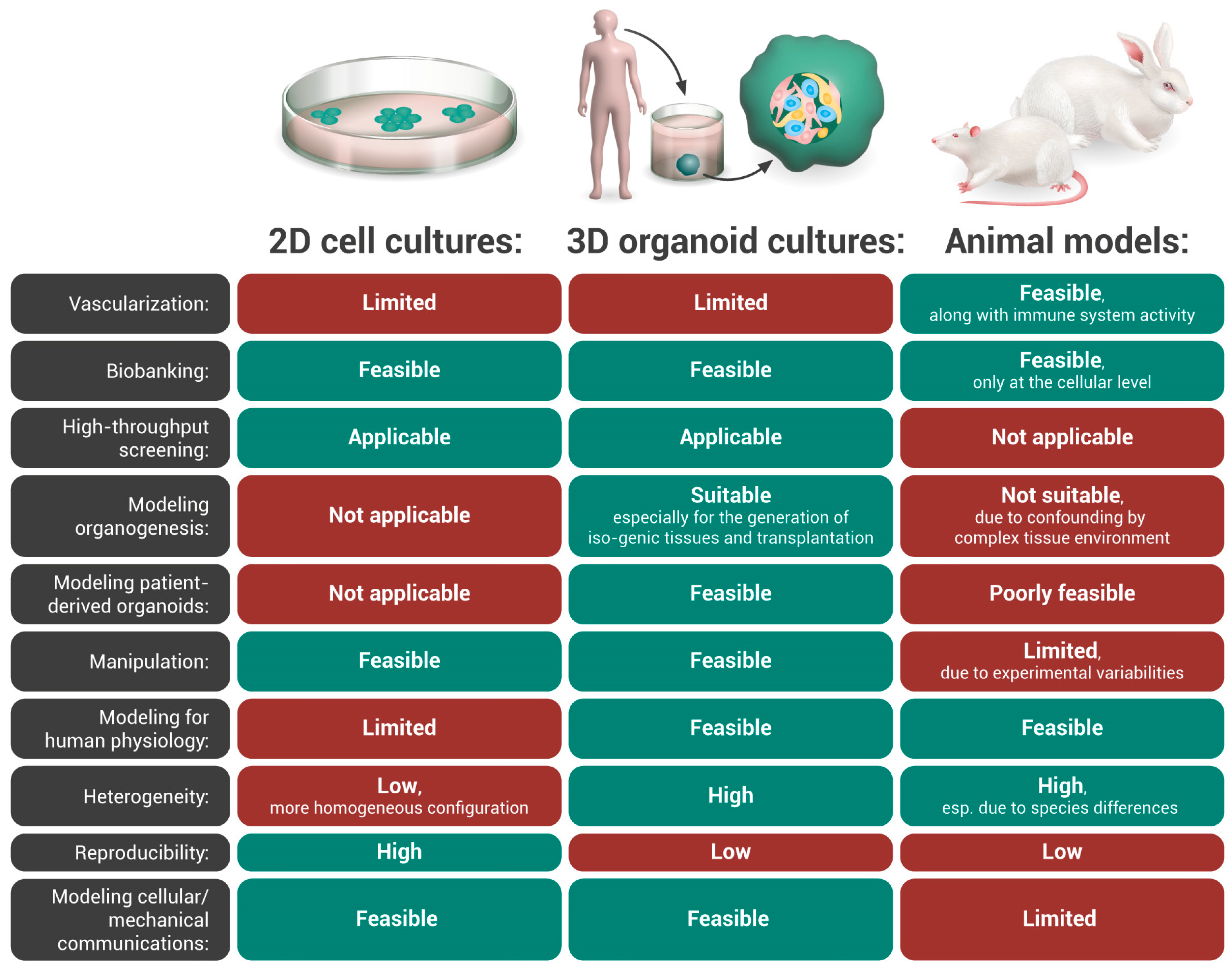 Ijms 24 03113 g002 Ijms 24 03113 g002