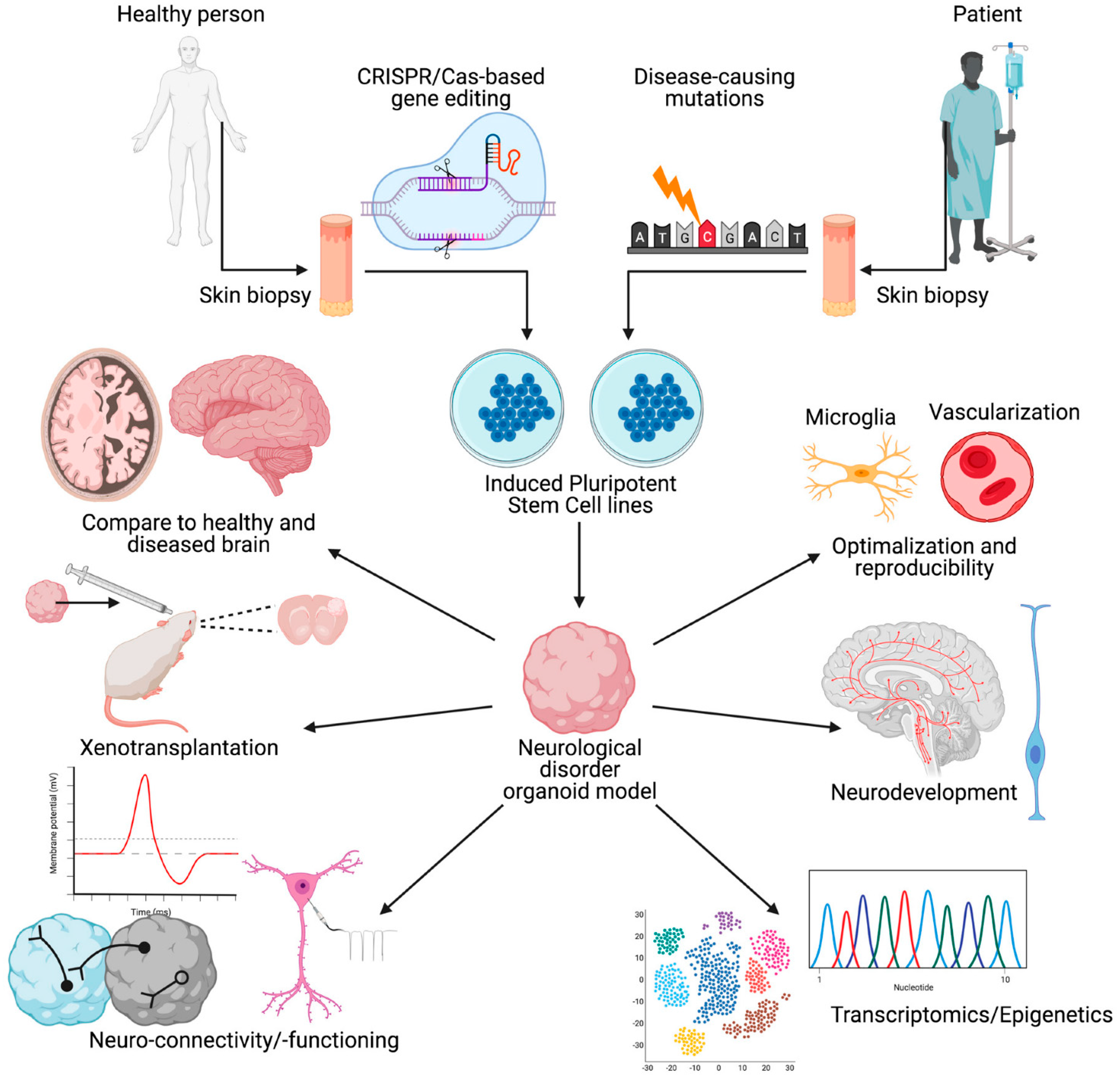 Ijms 24 03113 g003 Ijms 24 03113 g003