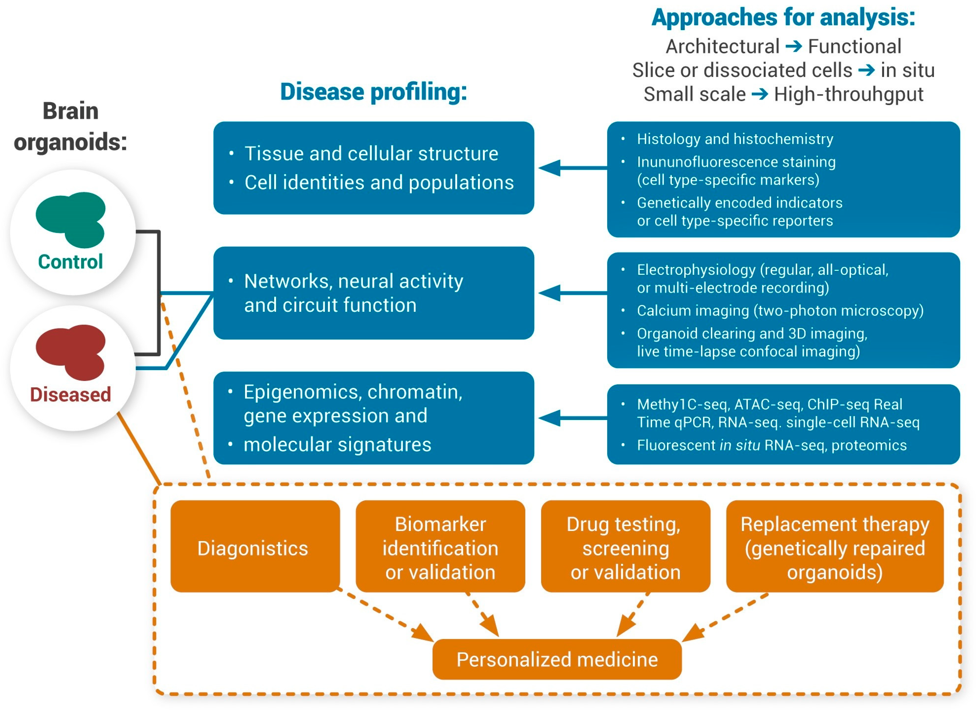 Ijms 24 03113 g006 Ijms 24 03113 g006