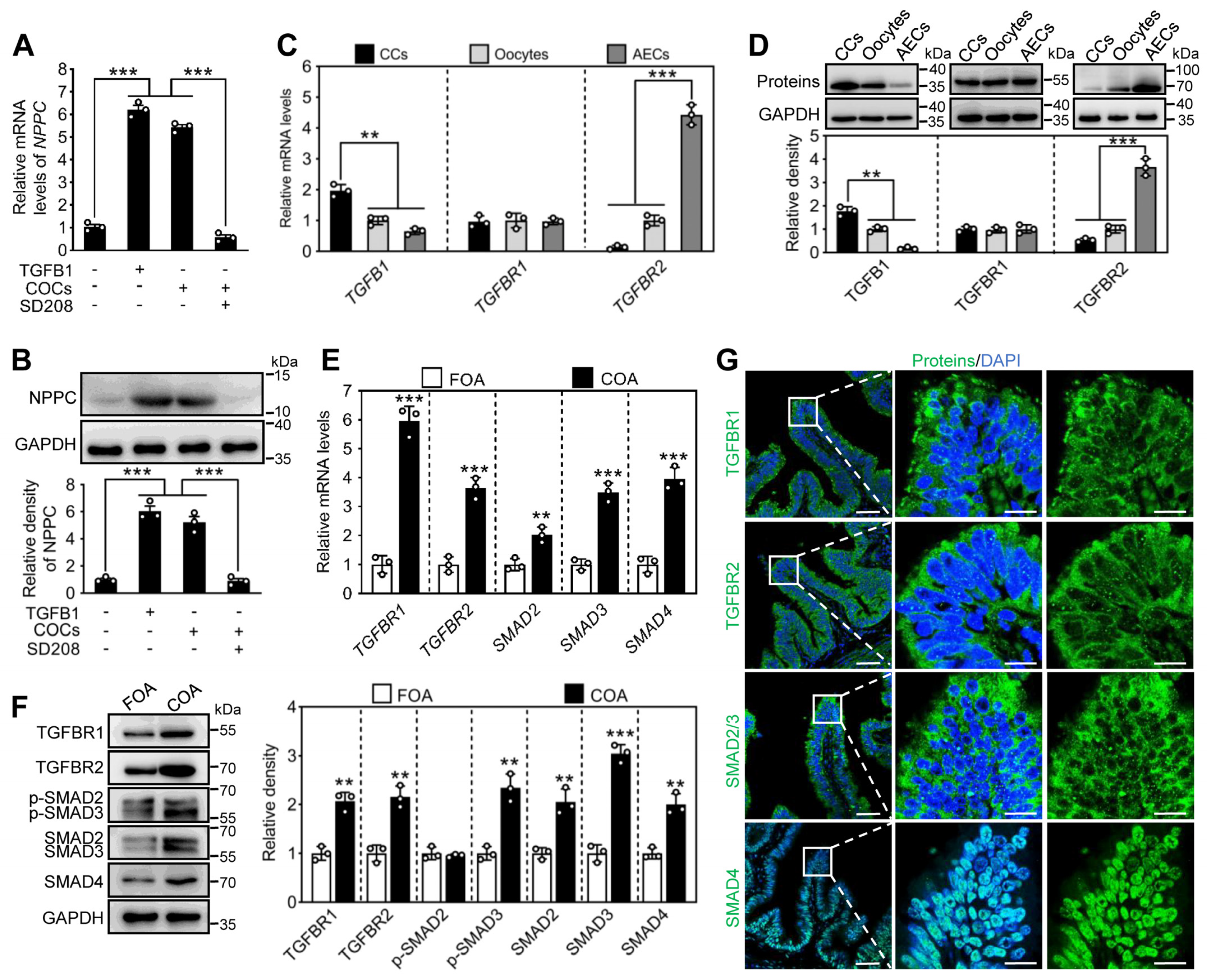Ijms 24 03118 g005 Ijms 24 03118 g005