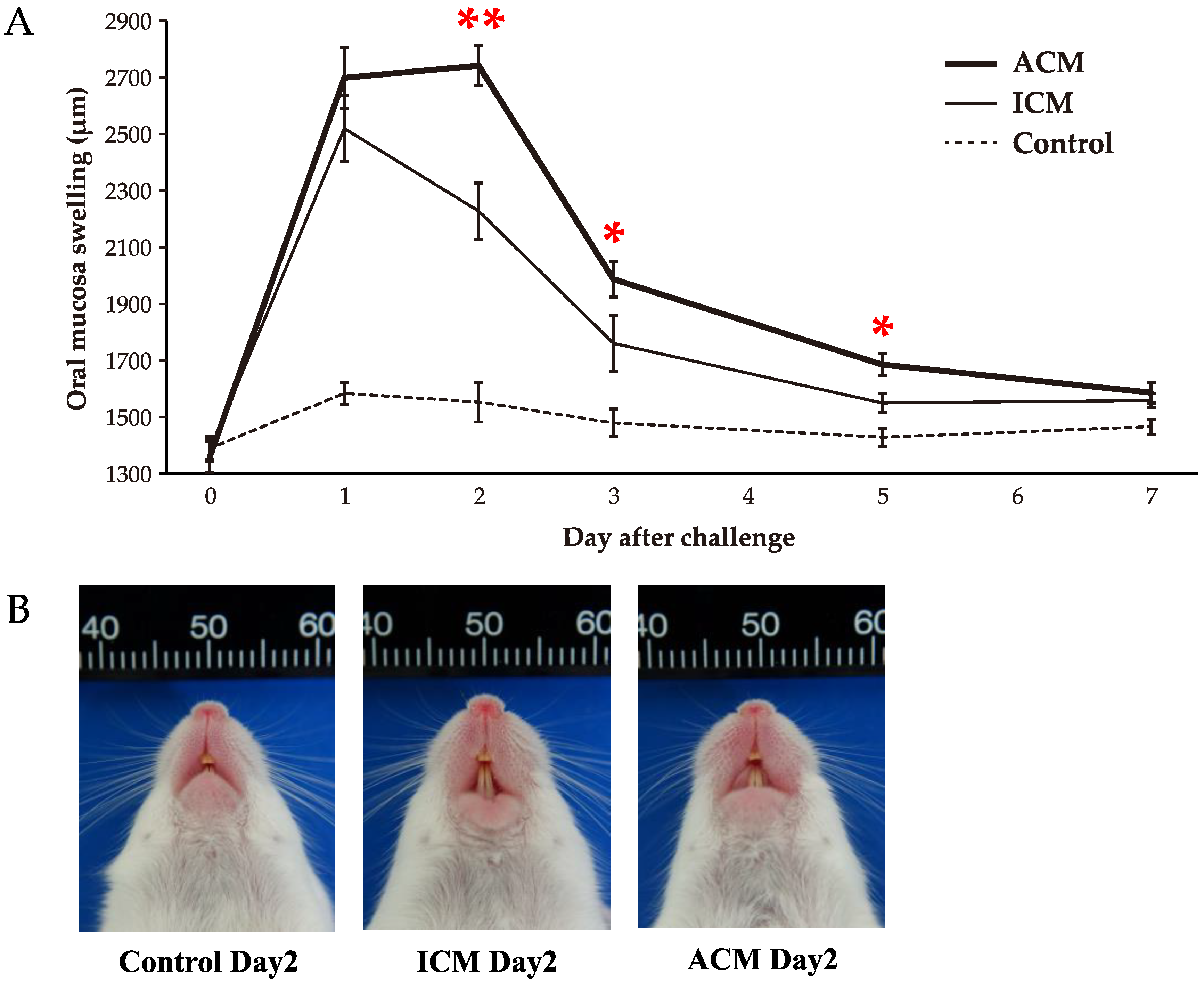 Ijms 24 03137 g001 Ijms 24 03137 g001