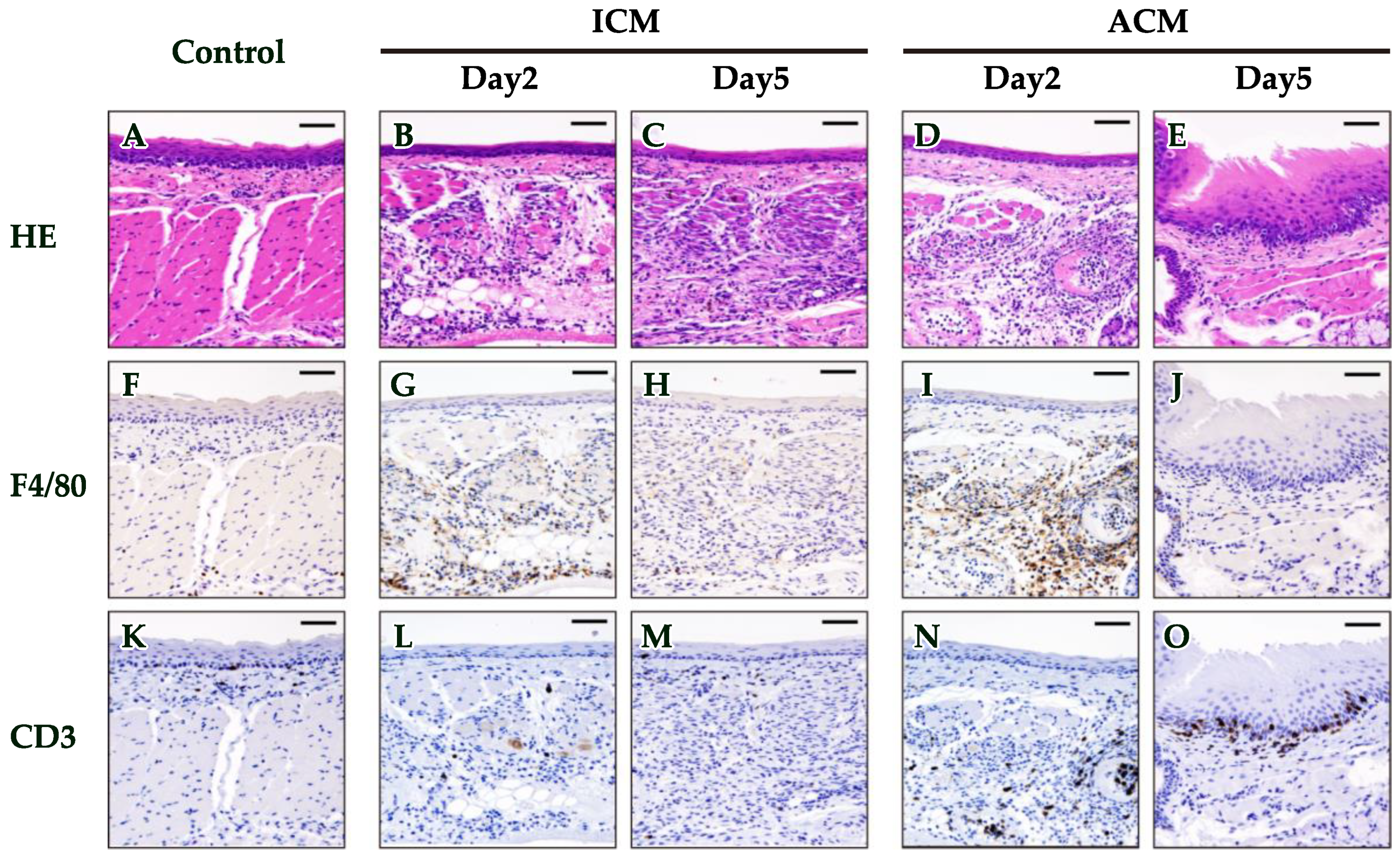 Ijms 24 03137 g002 Ijms 24 03137 g002