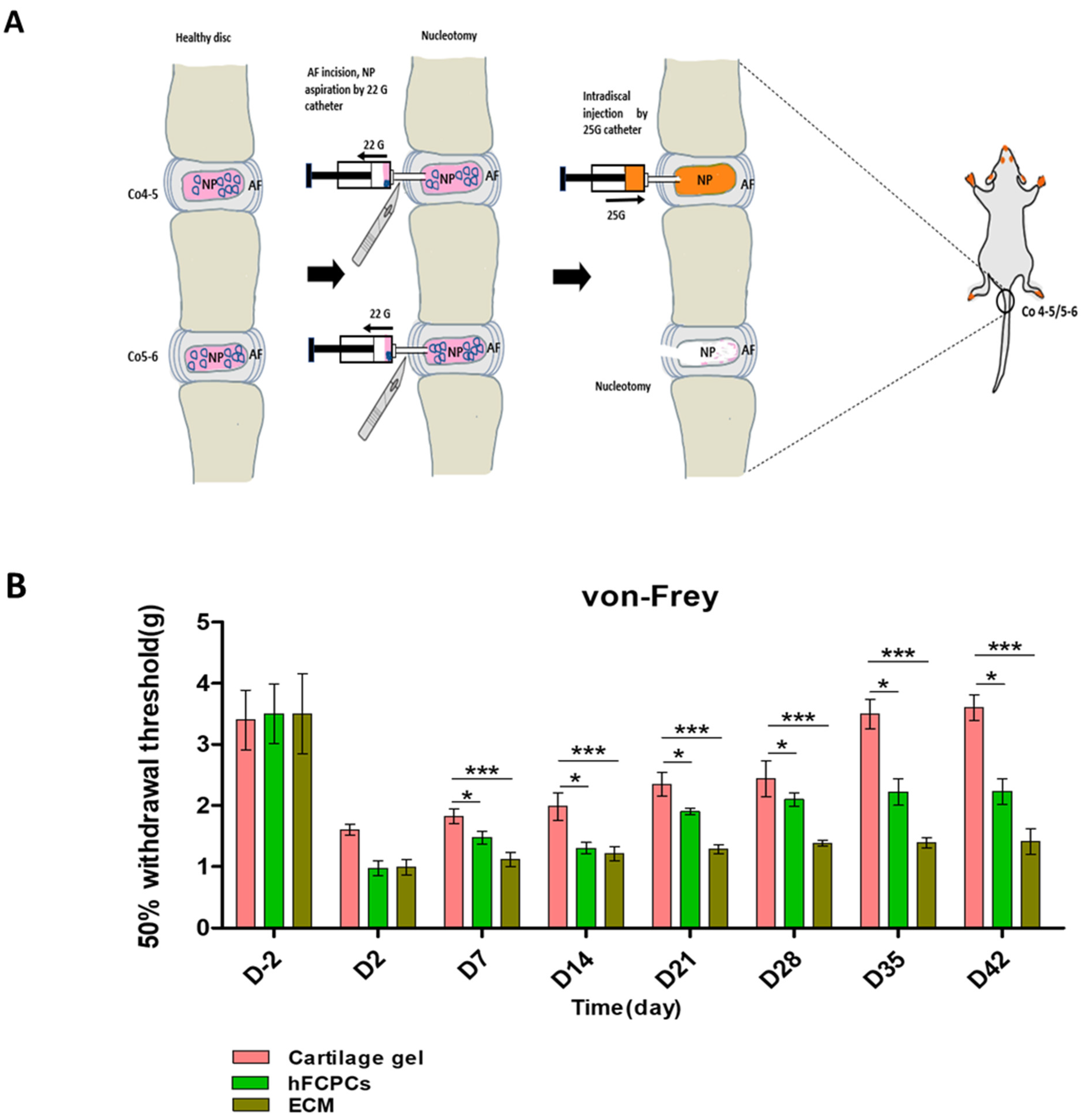 Ijms 24 03146 g001 Ijms 24 03146 g001