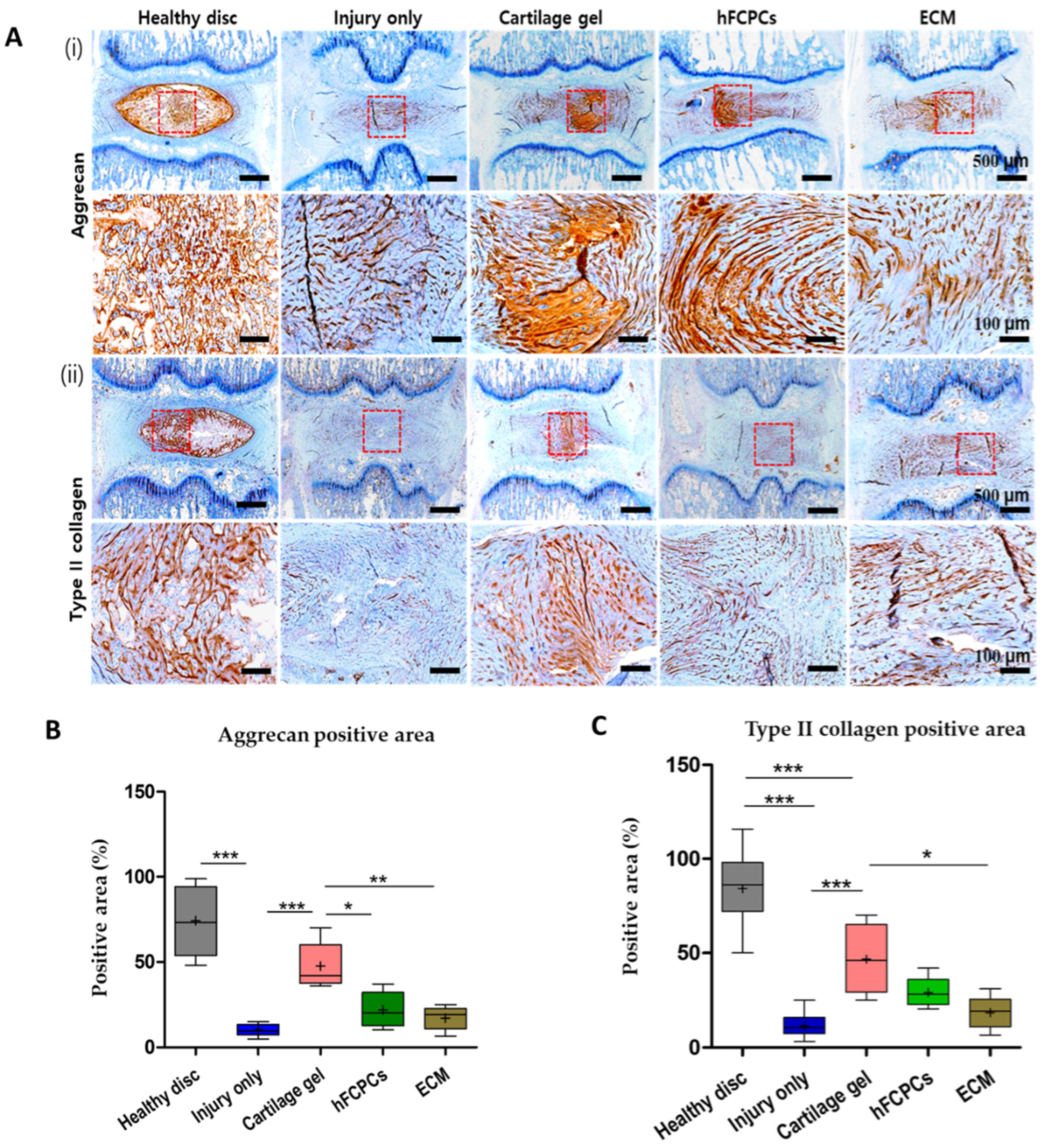 Ijms 24 03146 g003 Ijms 24 03146 g003